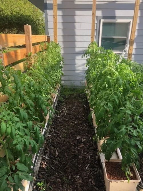 Practices Hydroponic Produce New Smyrna Beach, FL — Fletcher Family Farm