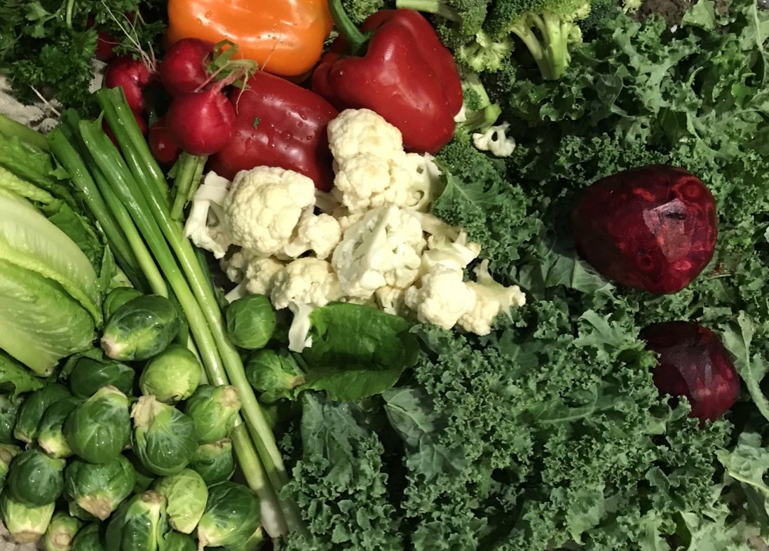 veggies.jpg