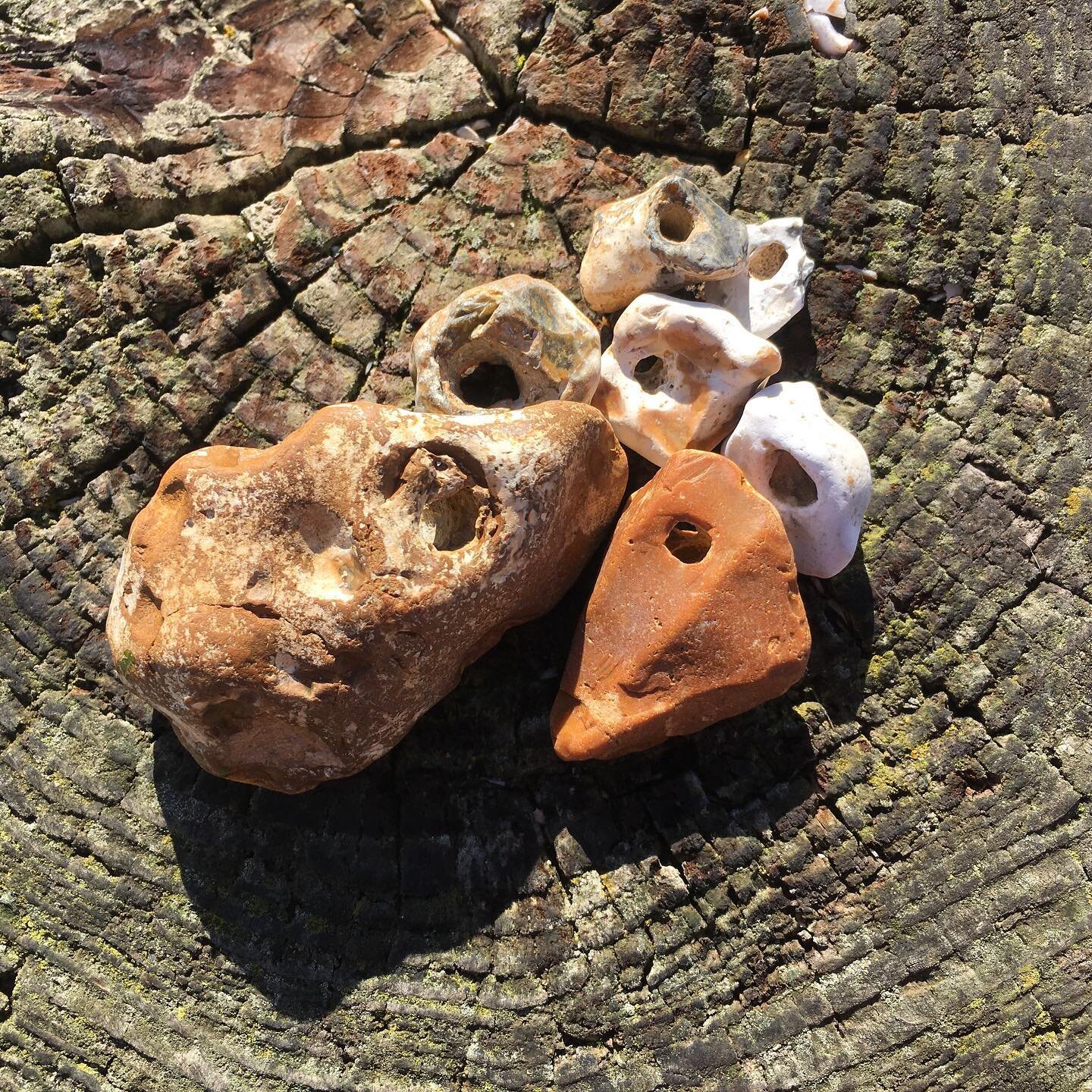 Some updates from the second unit of my MA Fine Art course; I restarted my course earlier this year and will be completing this September!
&nbsp;
Hagstones 
2020/2022
&nbsp;
When I go to a stony beach I try to collect 7 hagstones (stones with natural