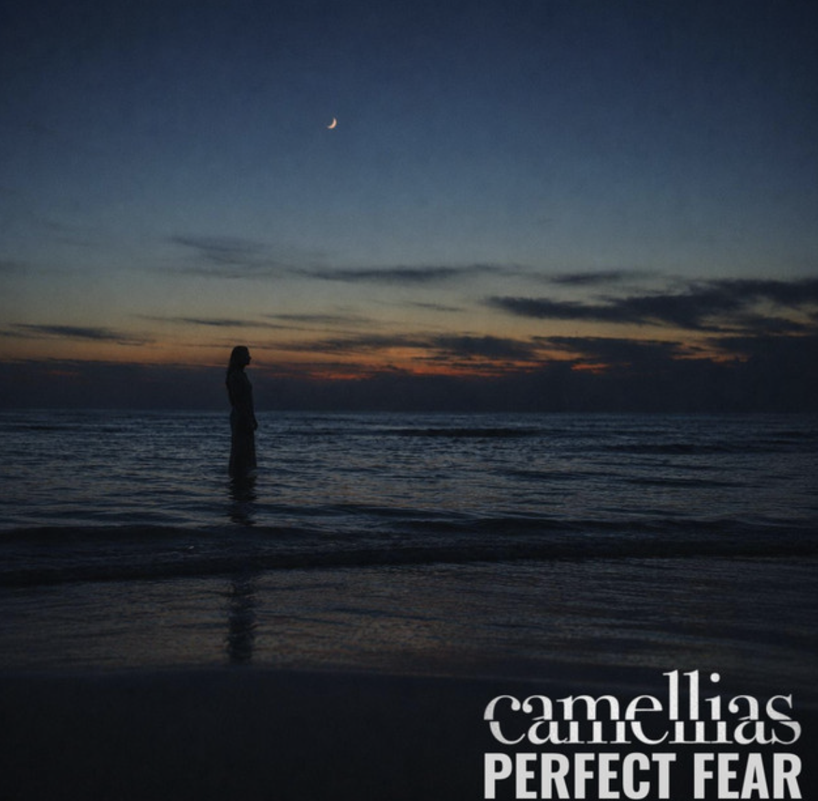 Camellias "Perfect Fear" - Co Engineer