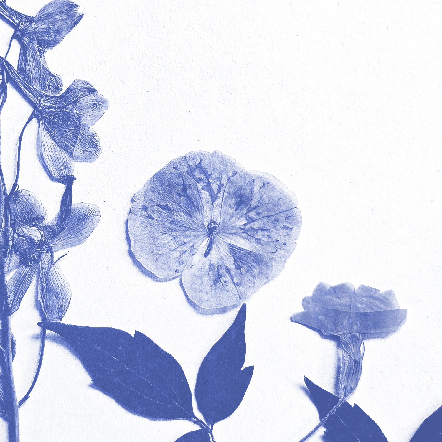 Anna Muir 'Forefront' - Engineered, produced and mixed