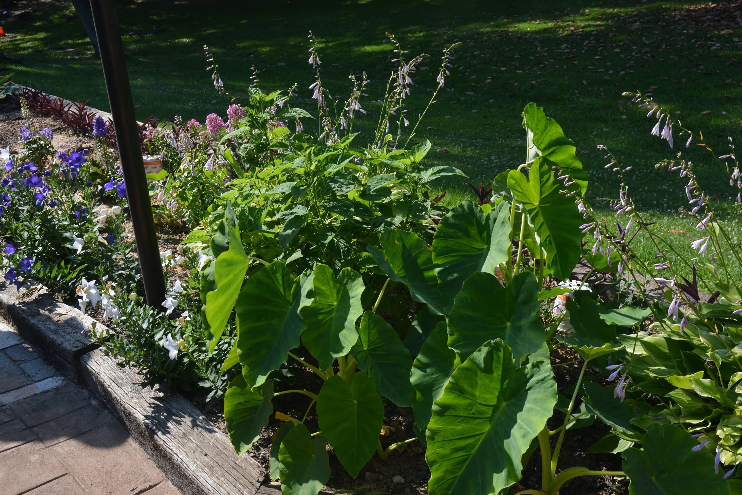 Atlanta Wedding Venue | Atlanta Filming Location