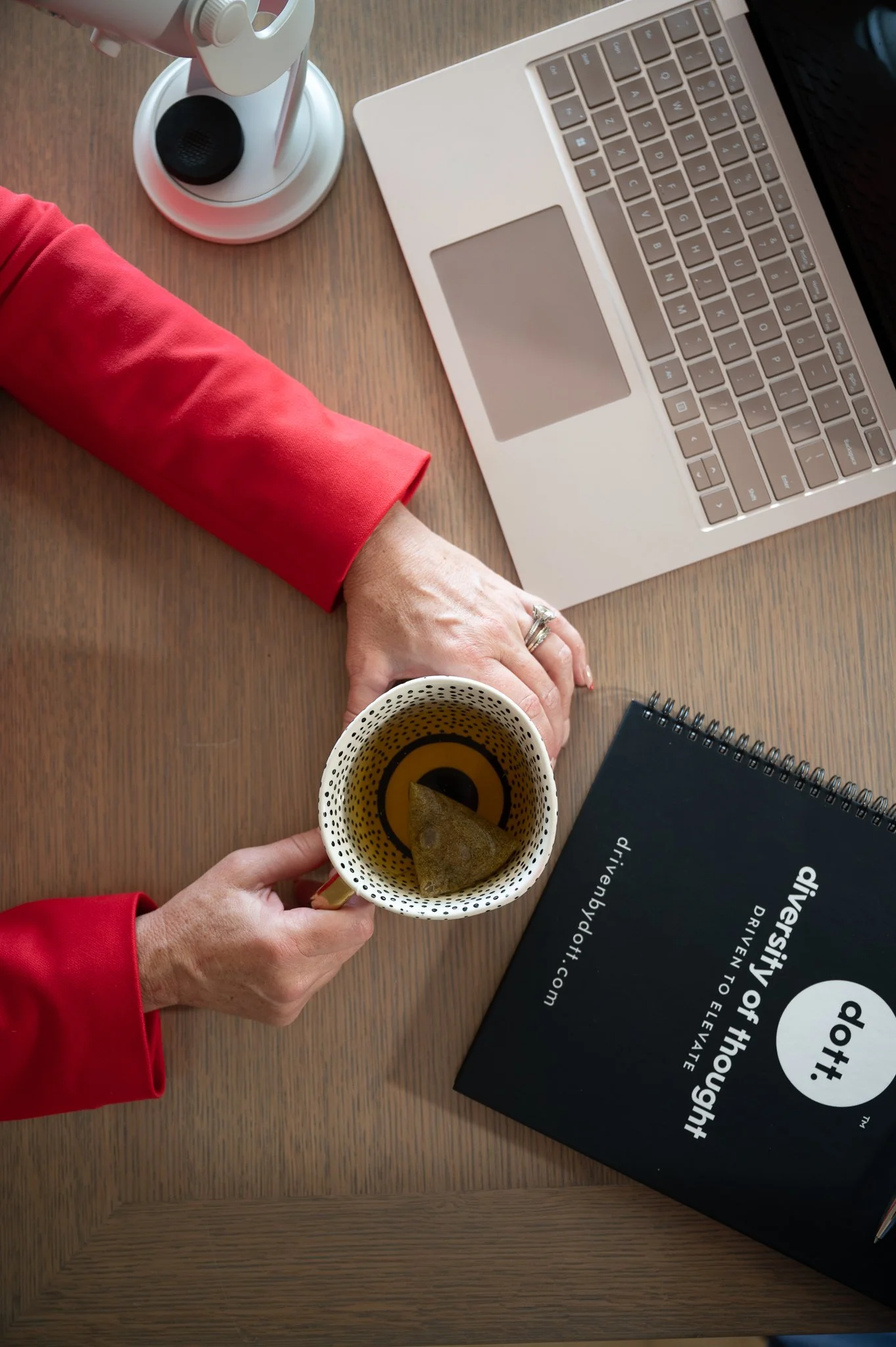 dott. diversity of thought