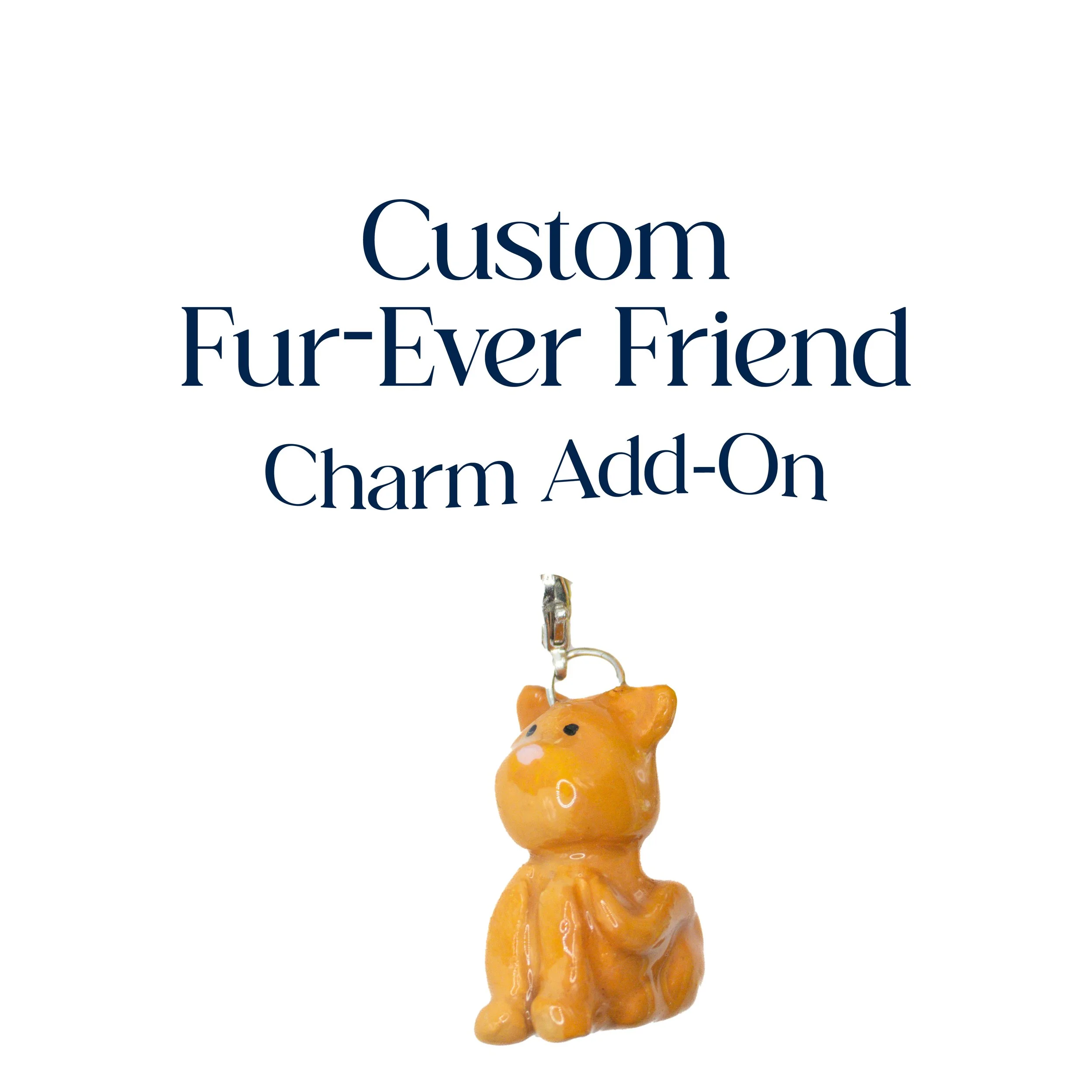 custom add on.jpg
