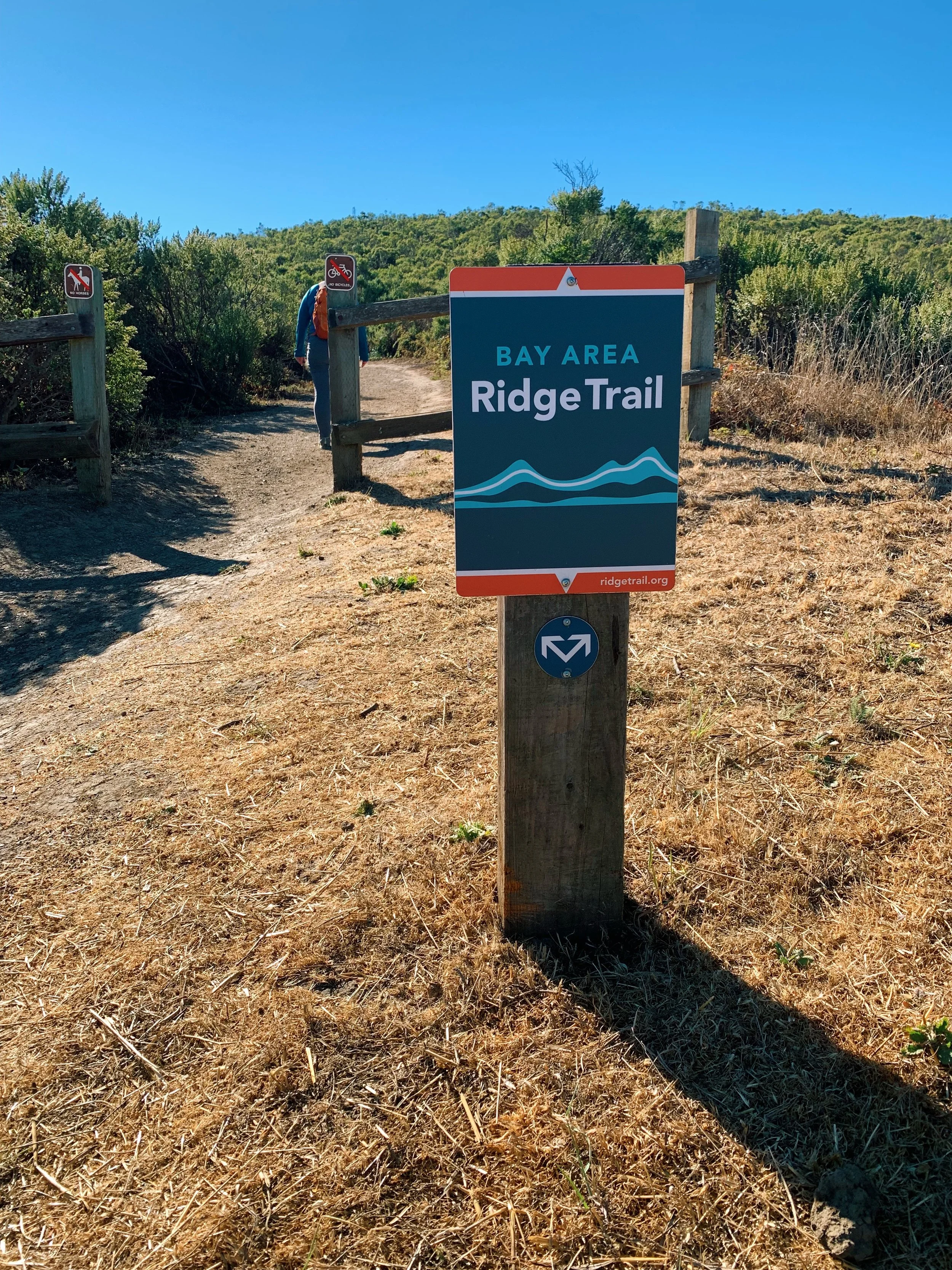 Are Dogs Allowed On Bay Area Ridge Trail