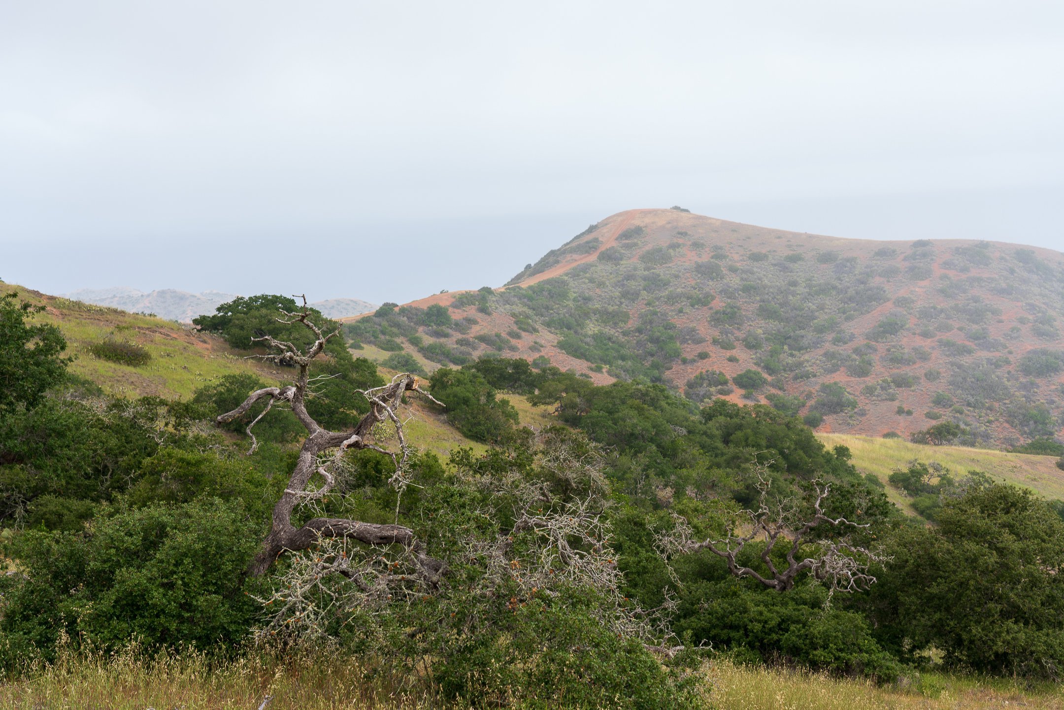 22.04.24 Trans Catalina Trail-30.jpg