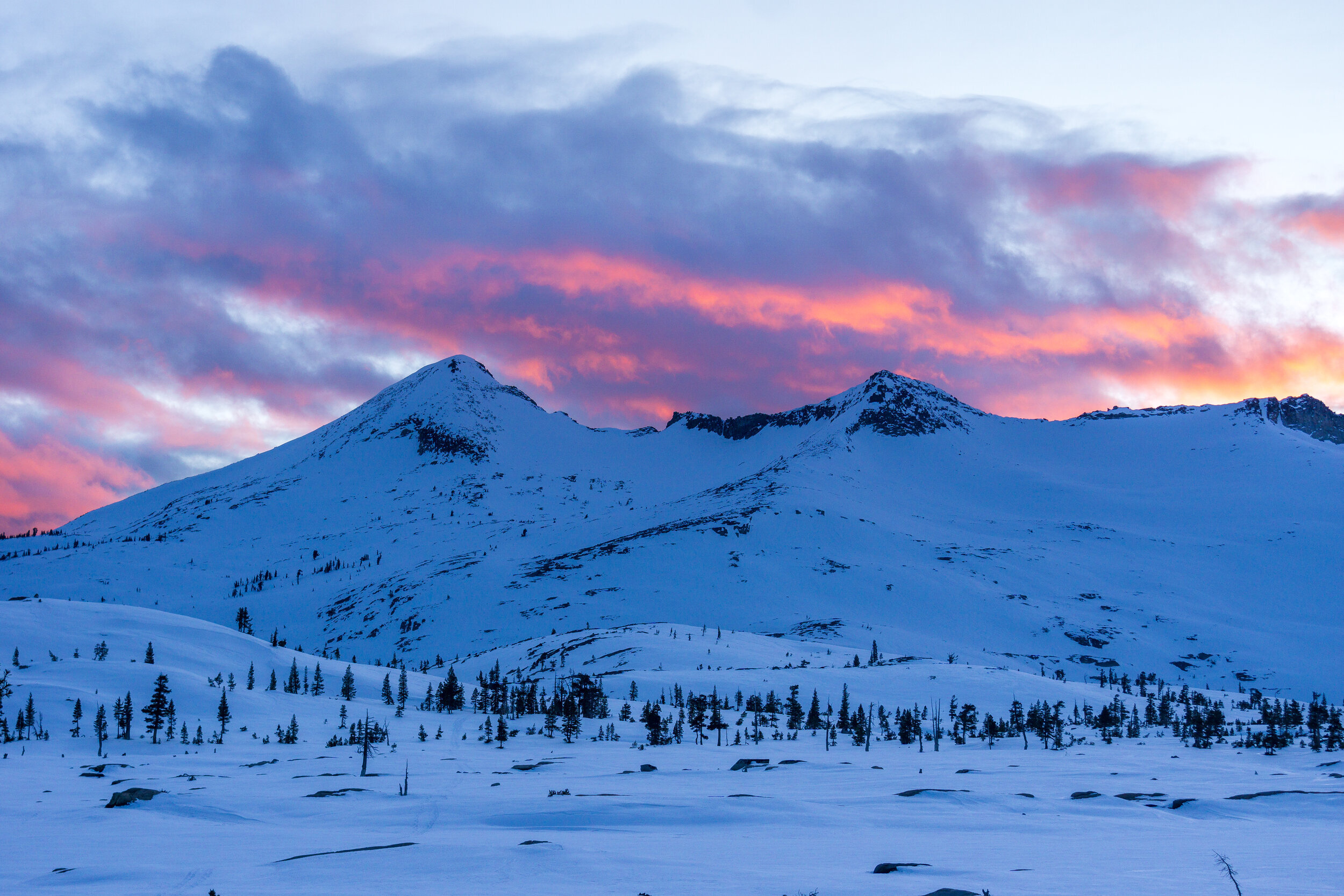 Snow Camping at Lake Aloha in Desolation Wilderness — Backcountry Emily