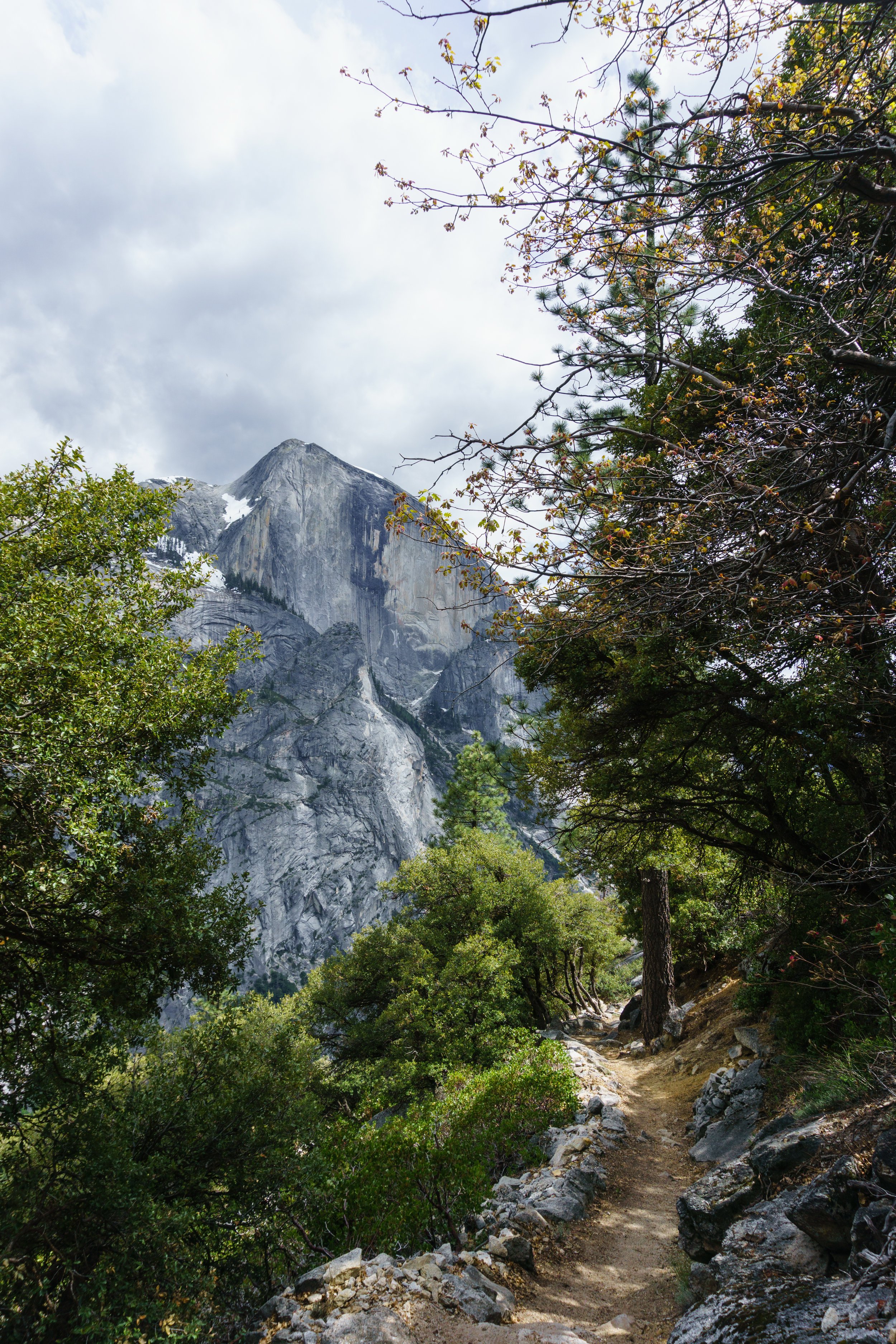  Half Dome from the Snow Creek trail 