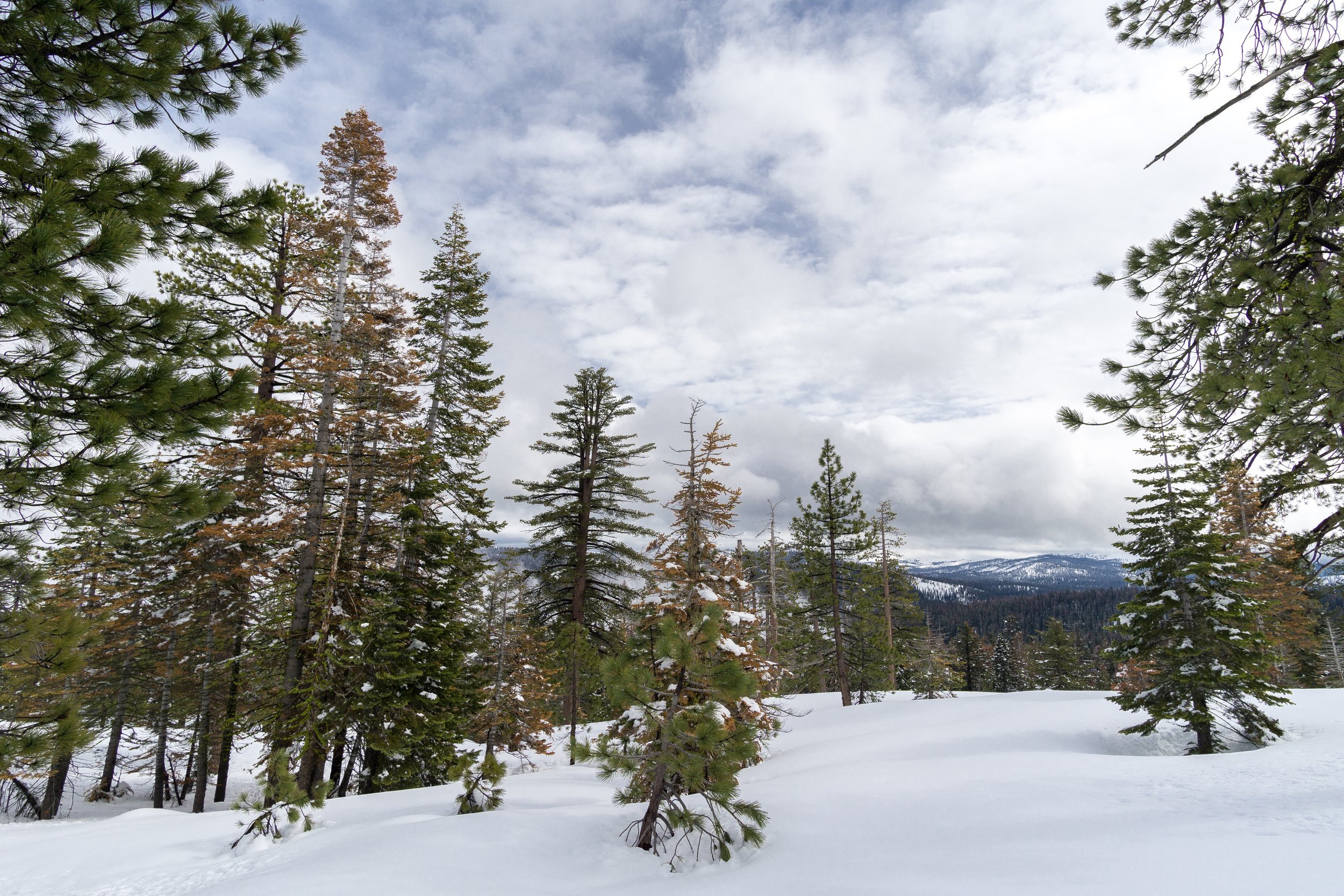  Along the way to Dewey Point 