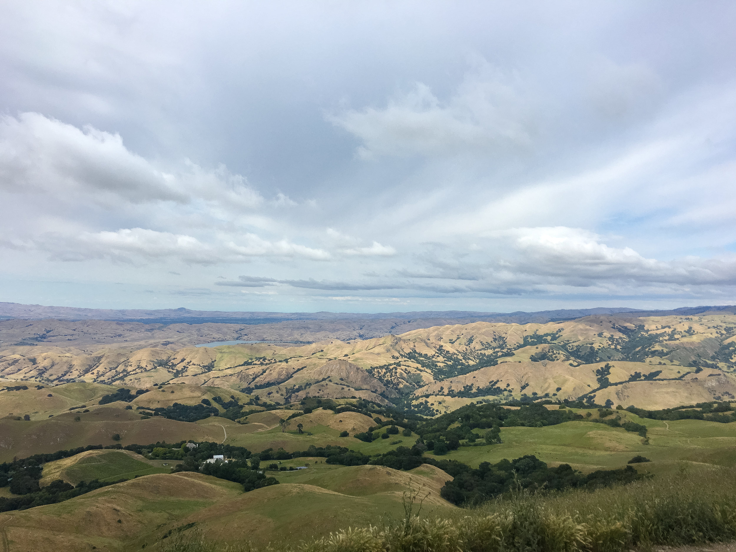 Mission Peak Hike — Backcountry Emily