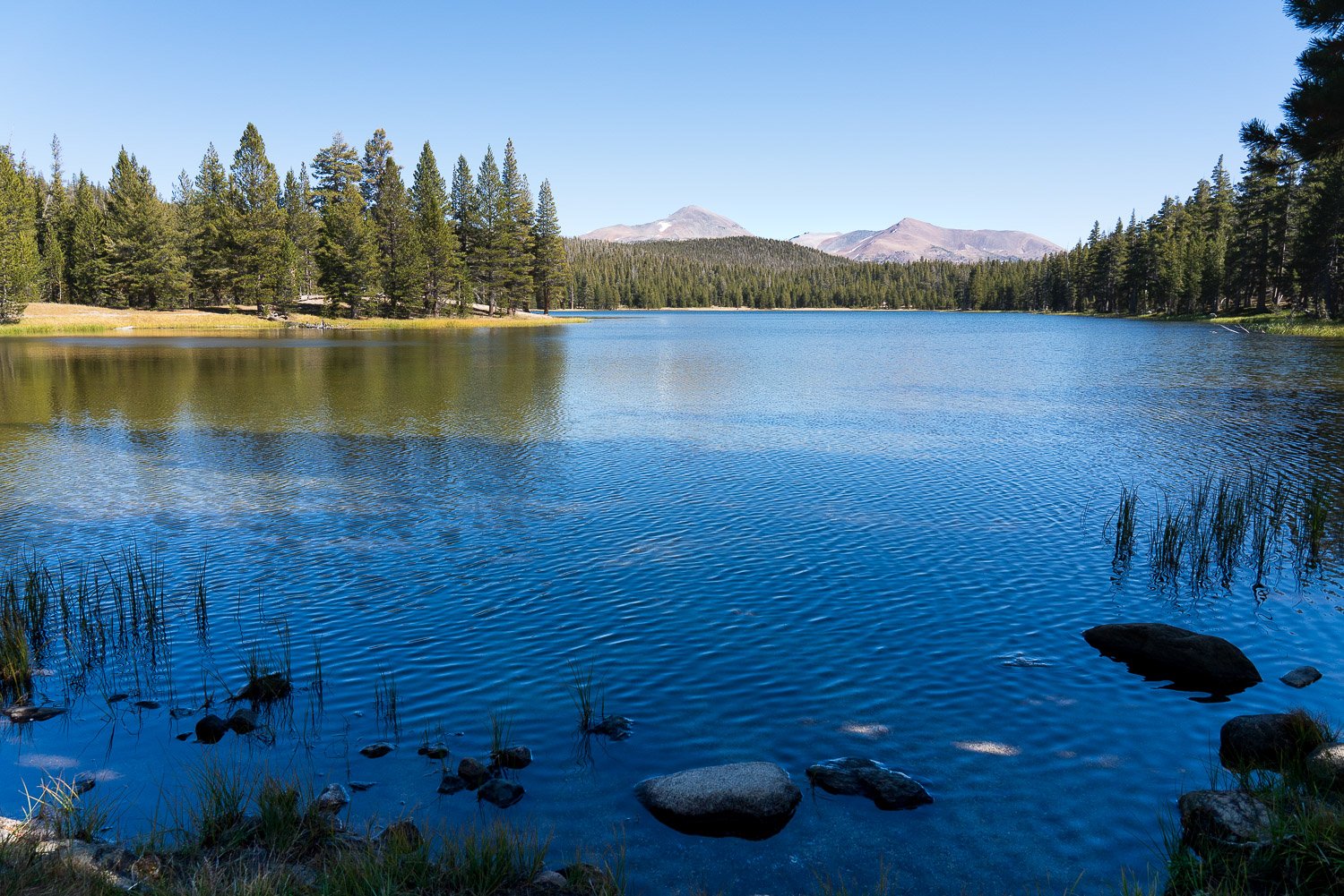 Young Lakes Backpacking Landscapes-1.jpg