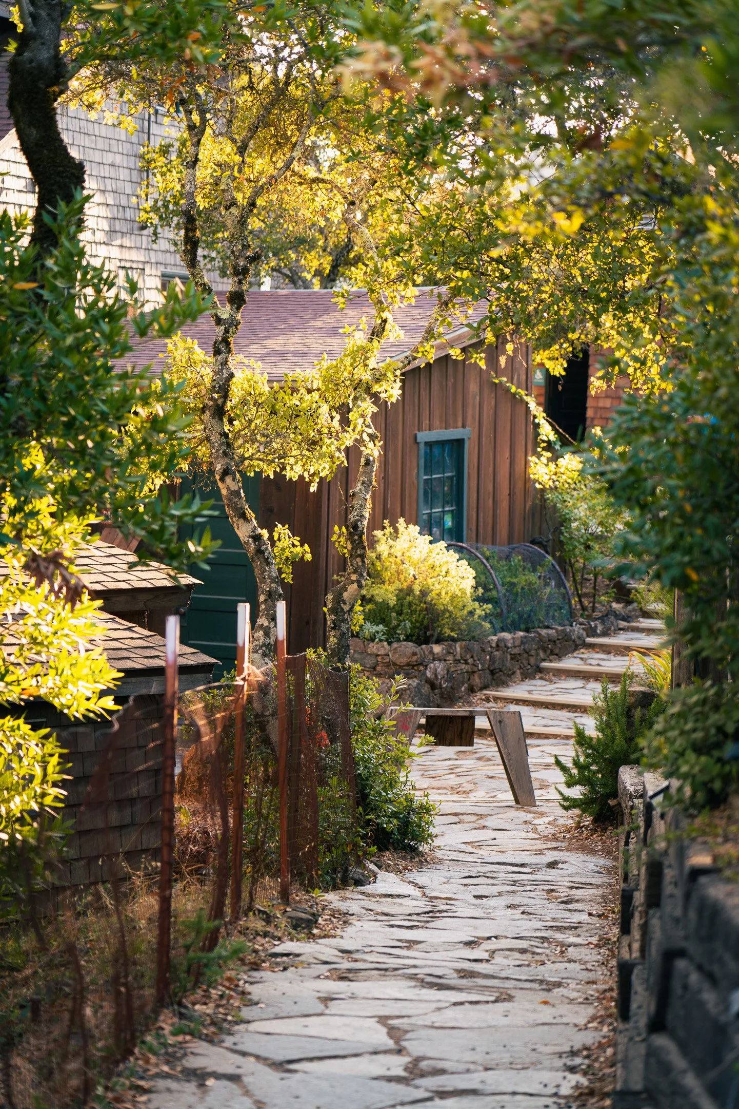 West Point Inn, Mt. Tamalpais The Perfect SF Getaway — Backcountry Emily