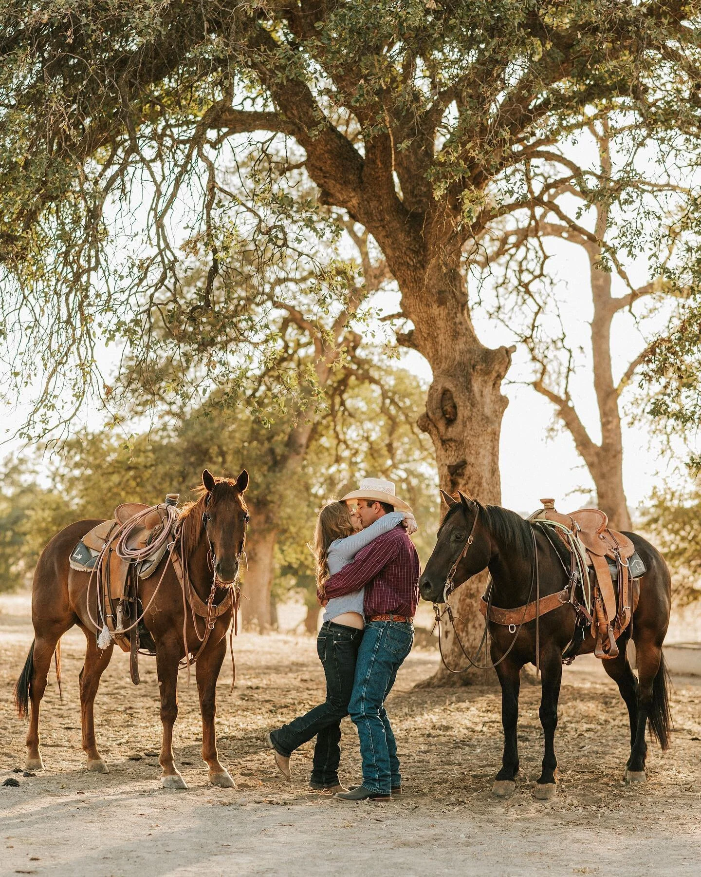 How to make horses ear&rsquo;s go forward 101: download a horse sound app and turn it up LOUD! Horses always fall for it 😂 What&rsquo;re some of your favorite ways to get ears forward?!