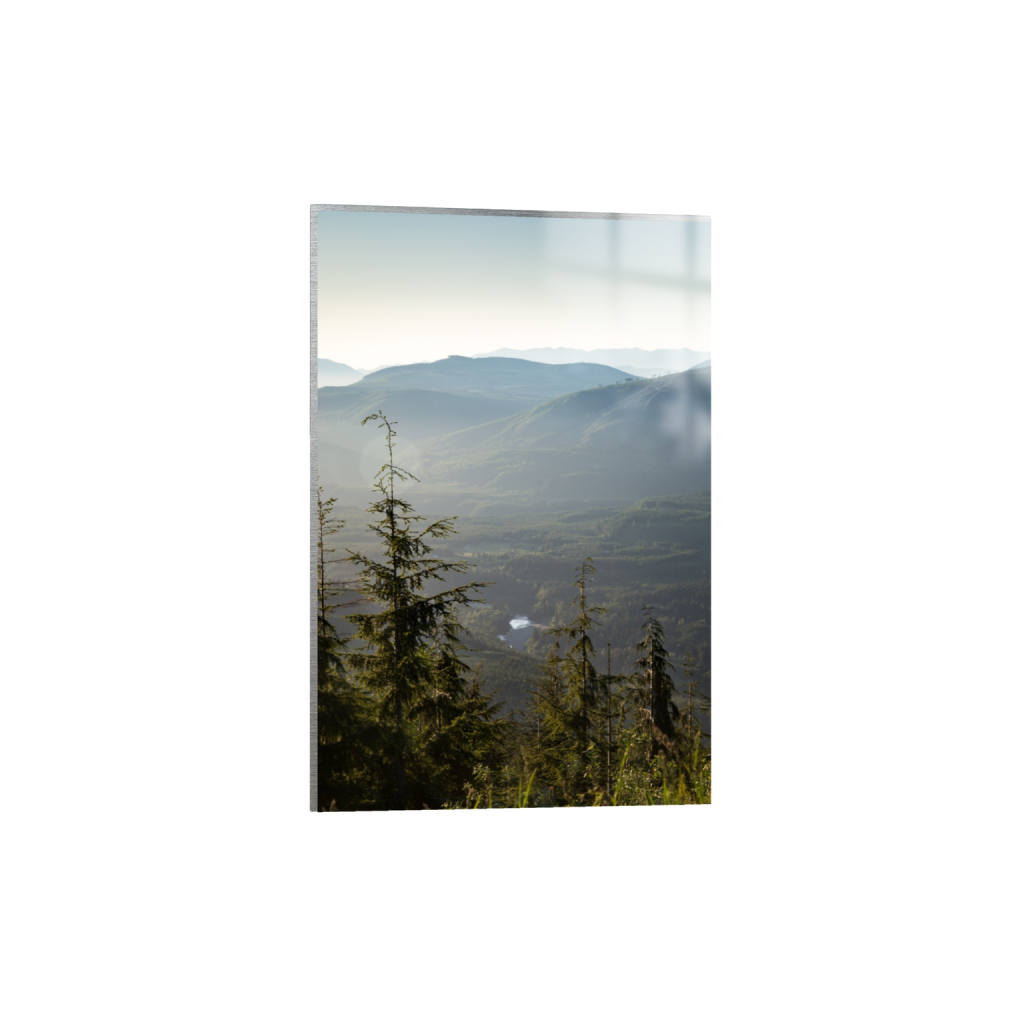 ptq_13_3_0_0_1200_1800_0_false_ffffff_0_0_.png