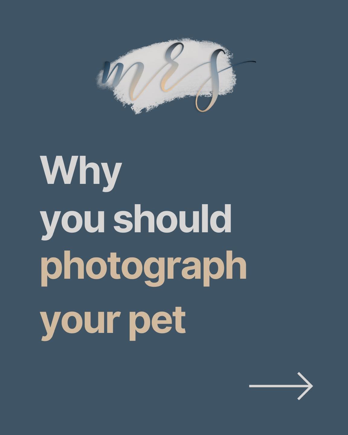 What&rsquo;s your reason for photographing your pet today? 🐾

#nationalpetday #pets #petlovers #petphotography  #artistsofinstagram #photographychallenge #photography