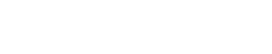 chronicle-of-philanthropy - white.png