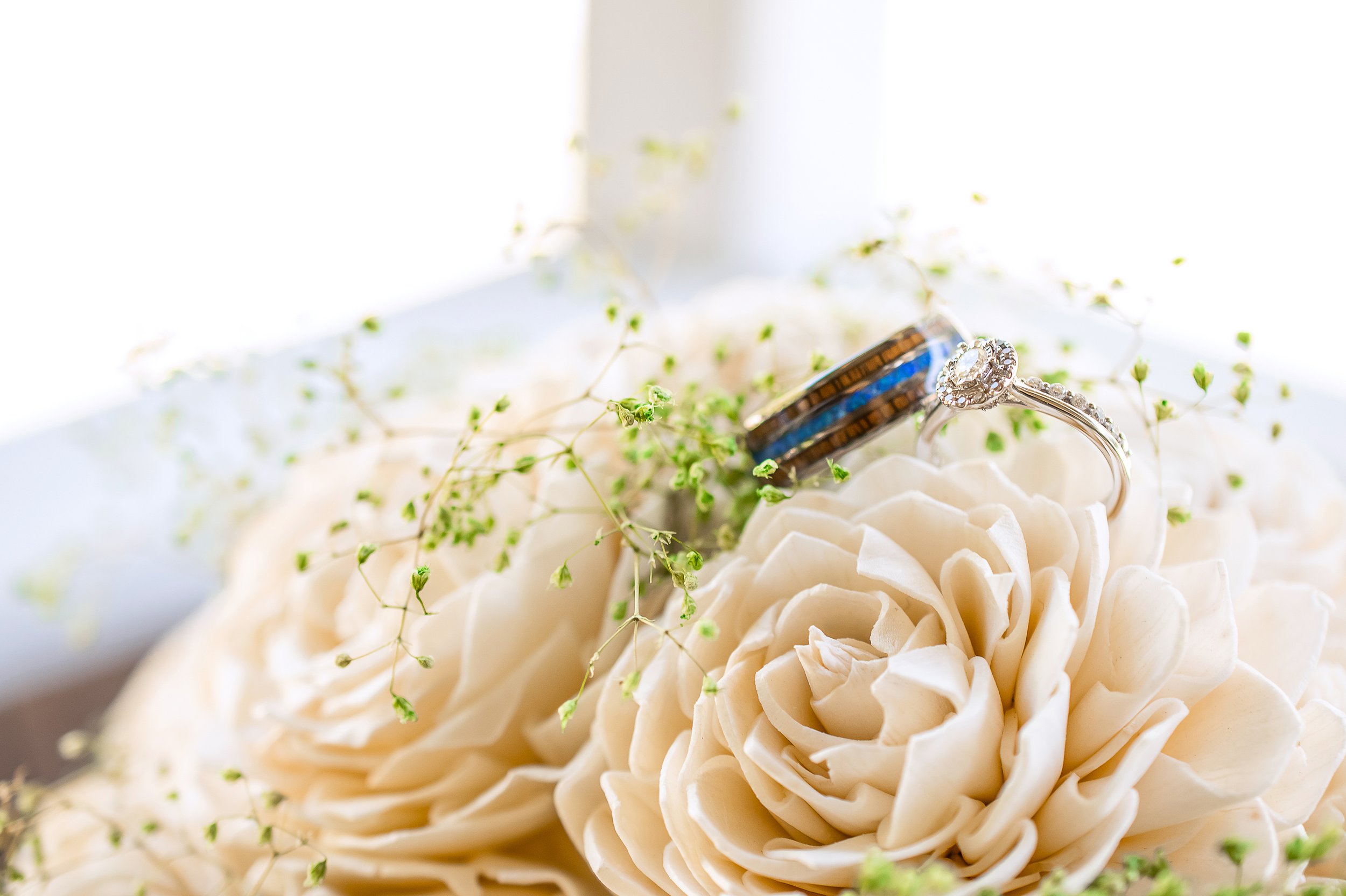 Shawn & Michael_Wedding-15.jpg