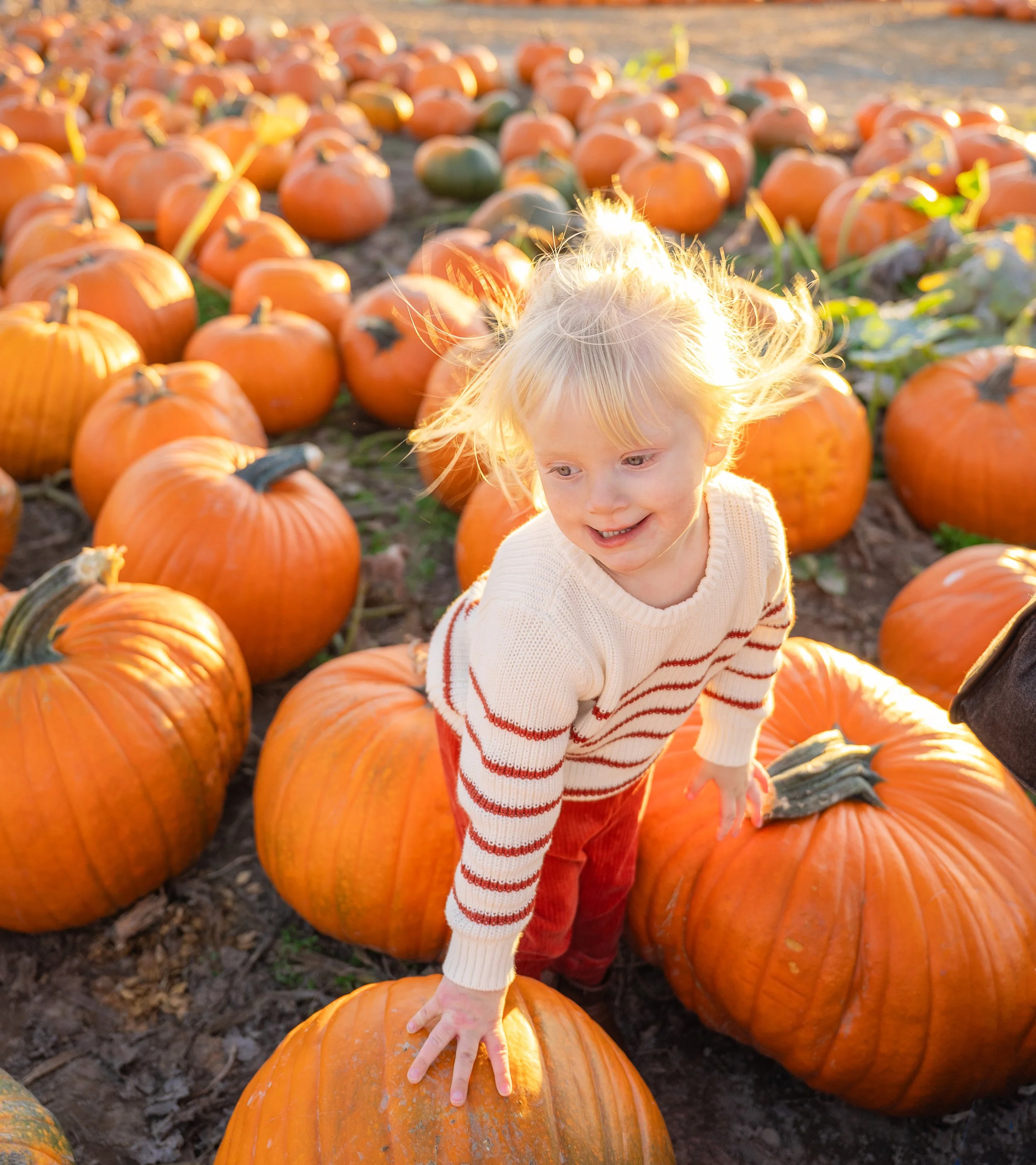Pumpkin-Patch-71.jpg