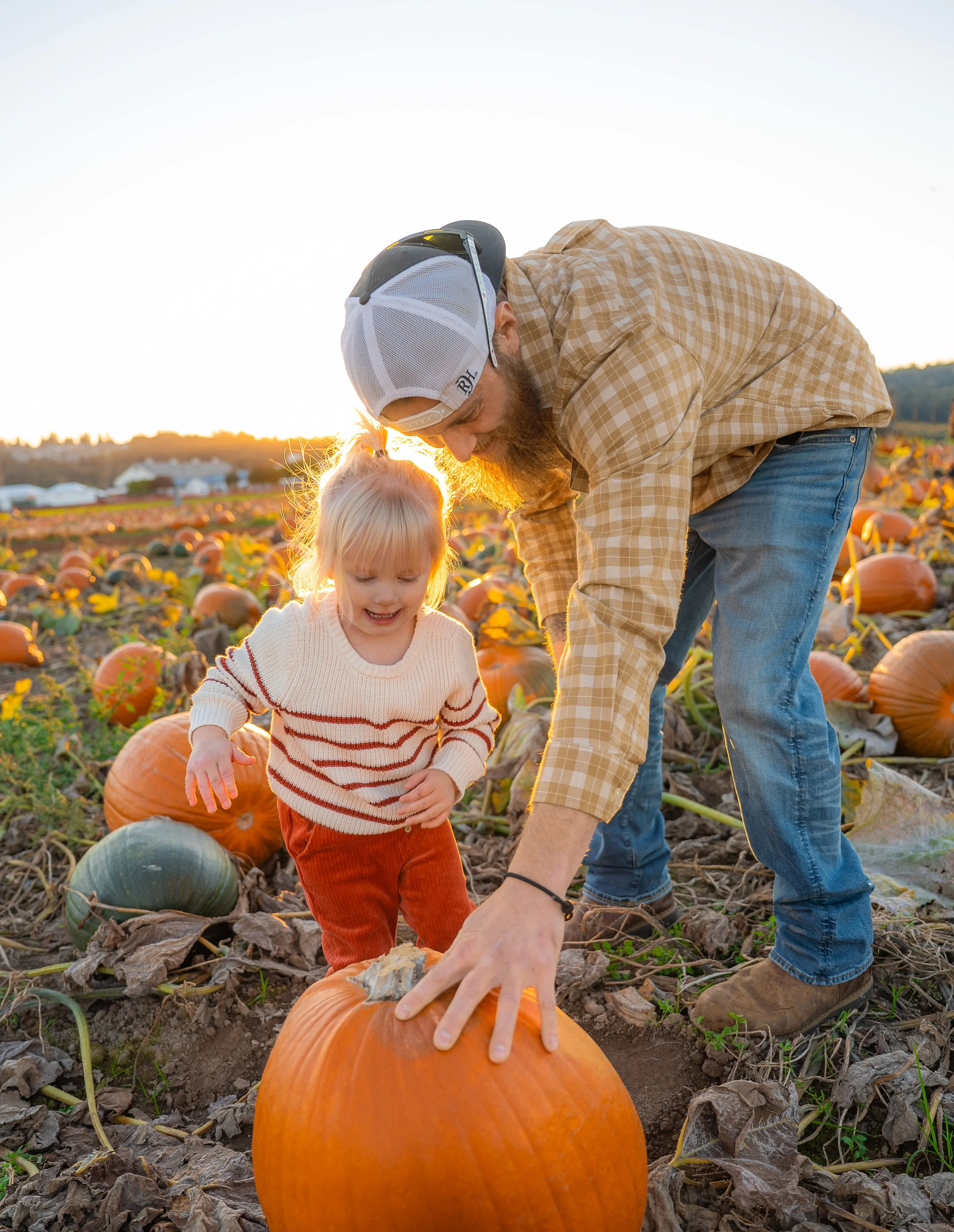 Pumpkin-Patch-100.jpg