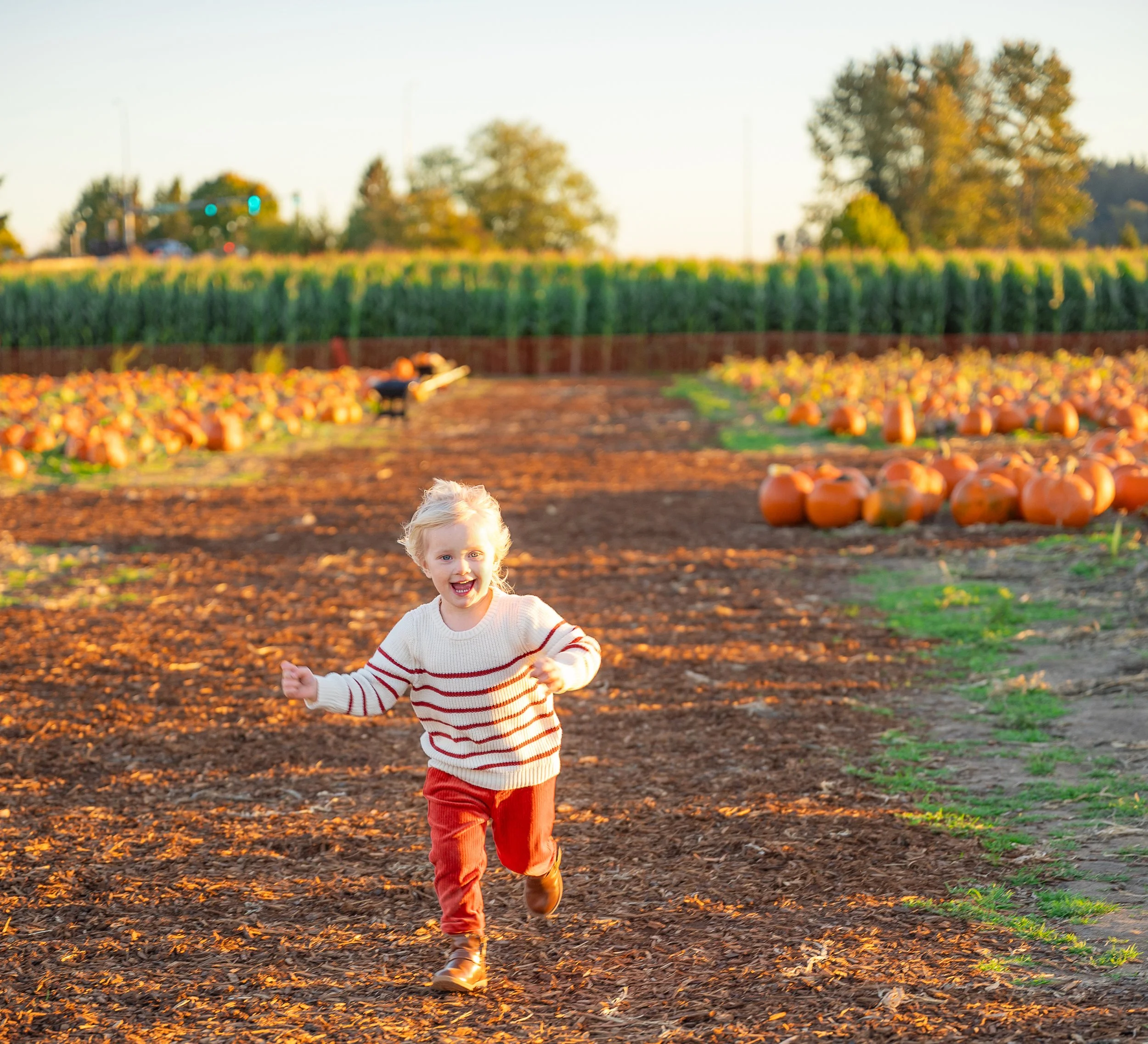 Pumpkin-Patch-85.jpg