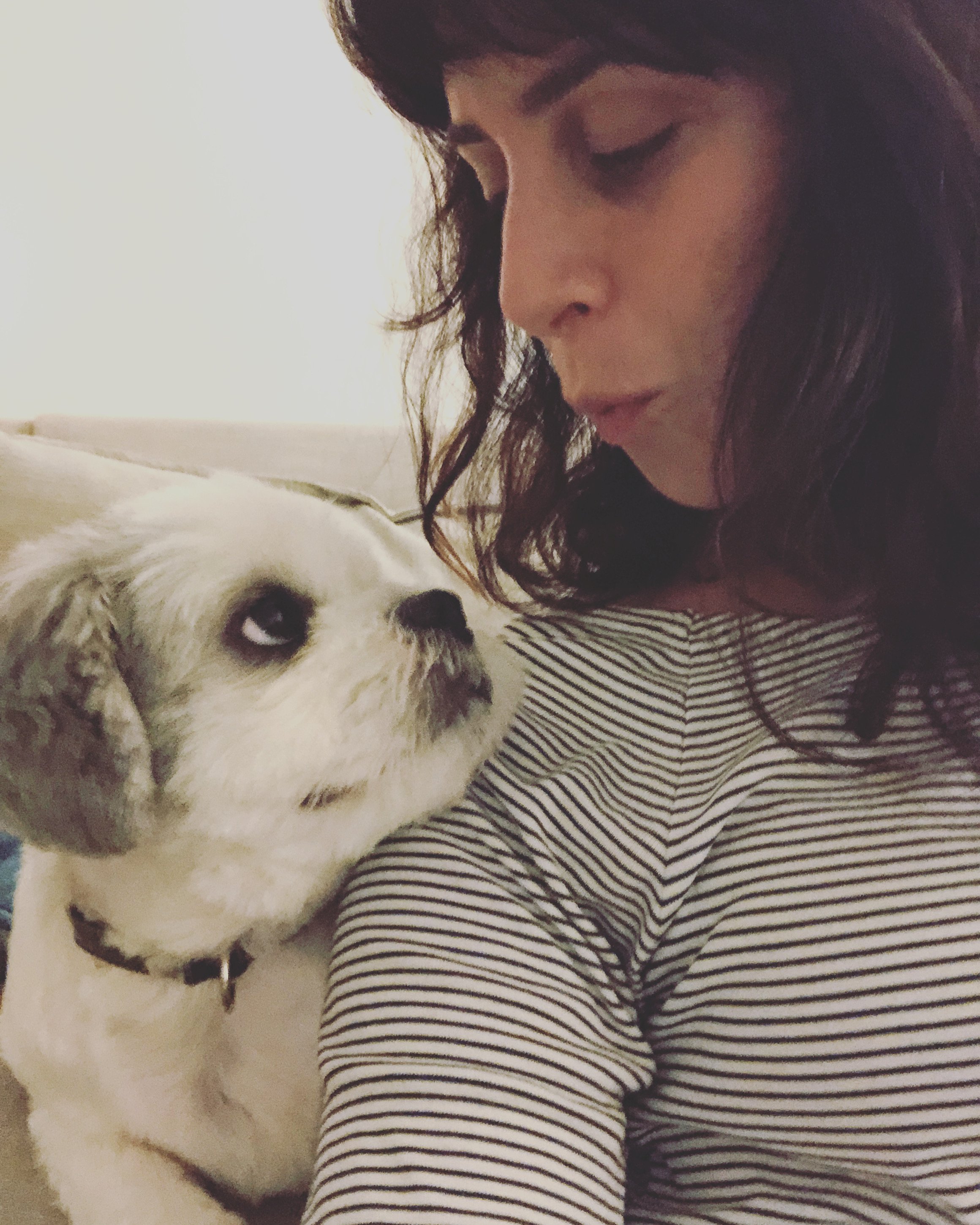 Lessons From My Loyal Companion 🐾