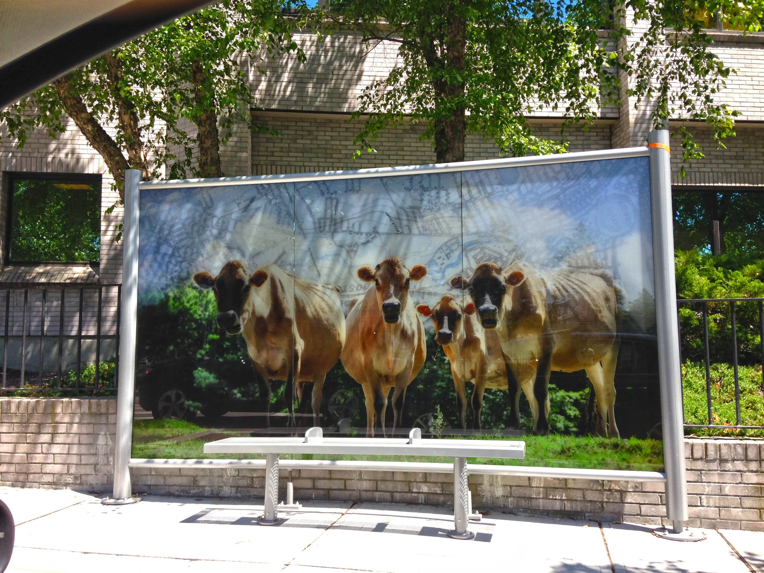 R-Line Wins Paul Davidoff Award