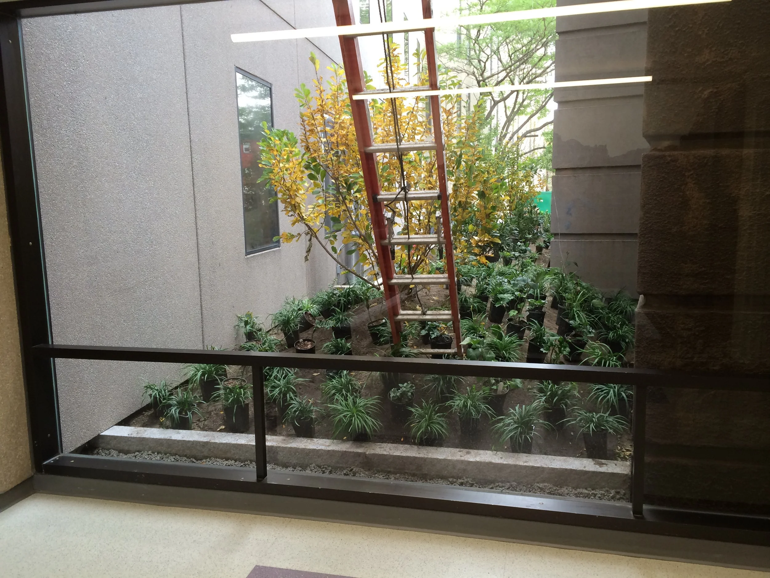 Brigham and womens masterplan klopfer martin design group 04.JPG