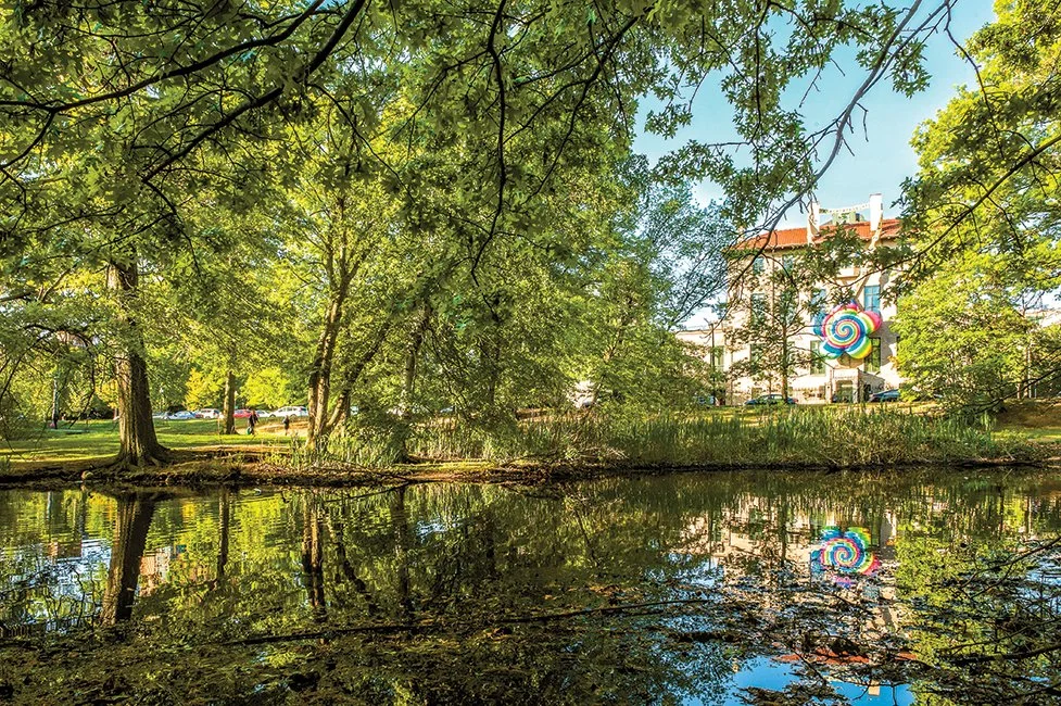 I’m a crow by nature - Ken Smith