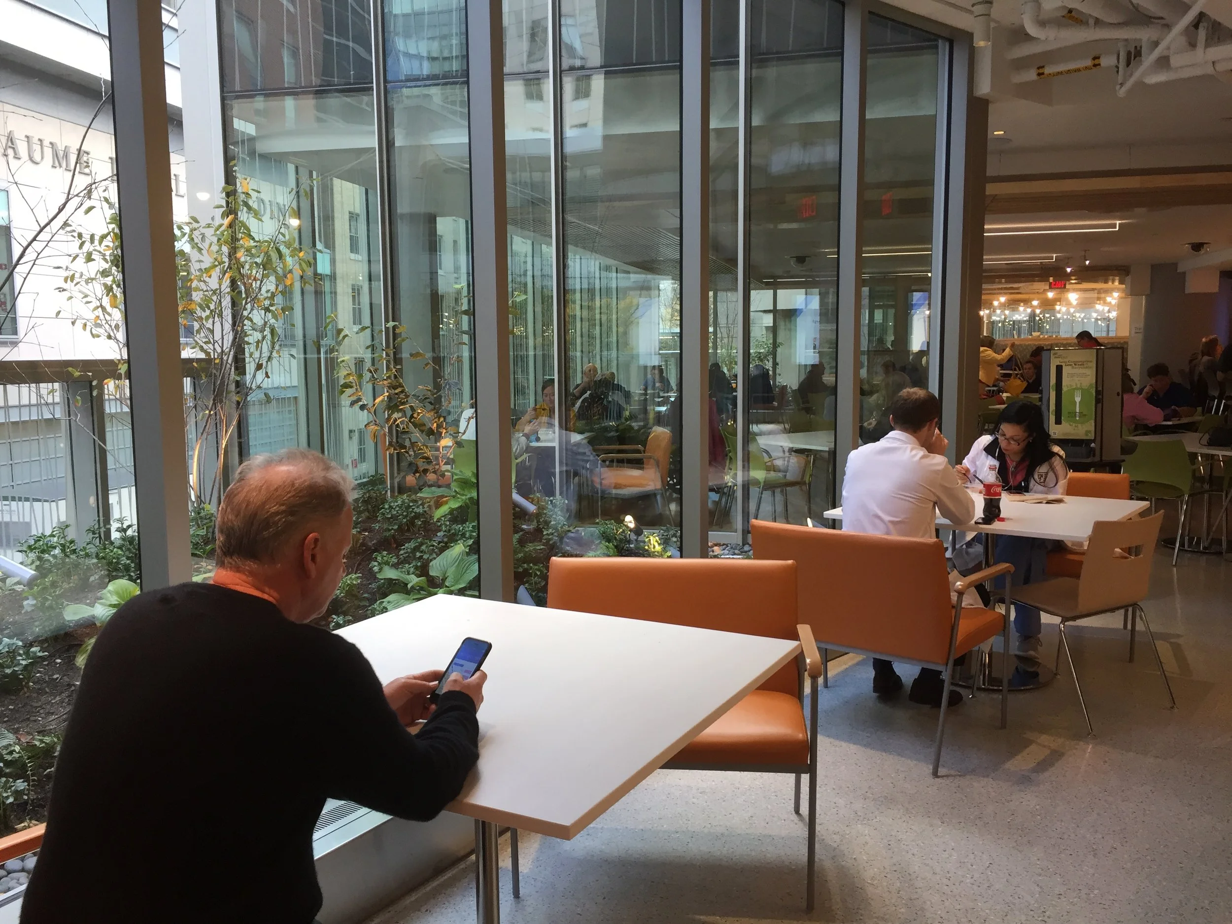 A Garden View for BWH’s New Cafe 