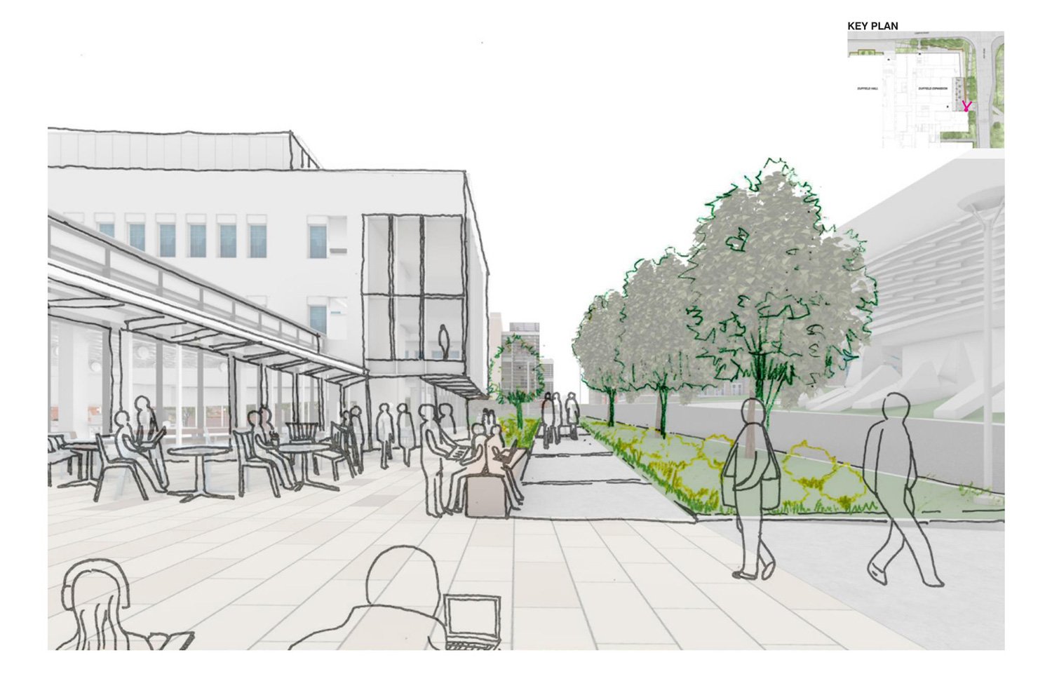 Cornell_HandSketch_1500w.jpg