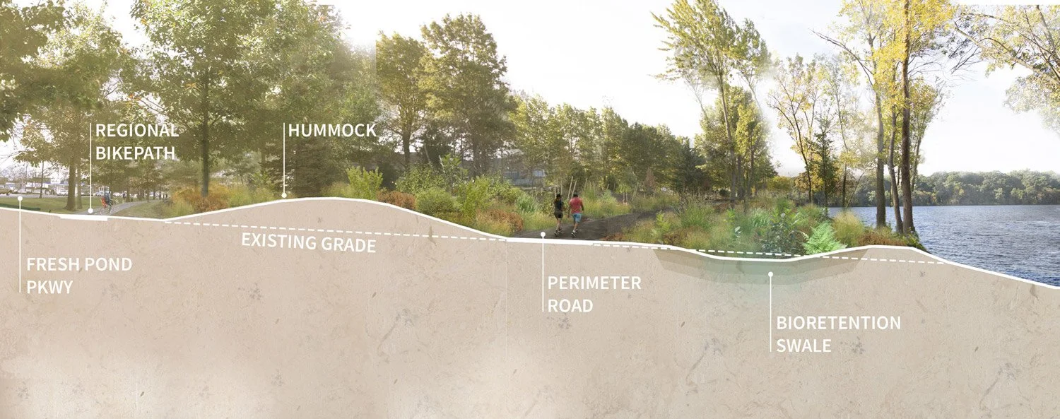 FreshPond_RenderedGrading_1500w.jpg