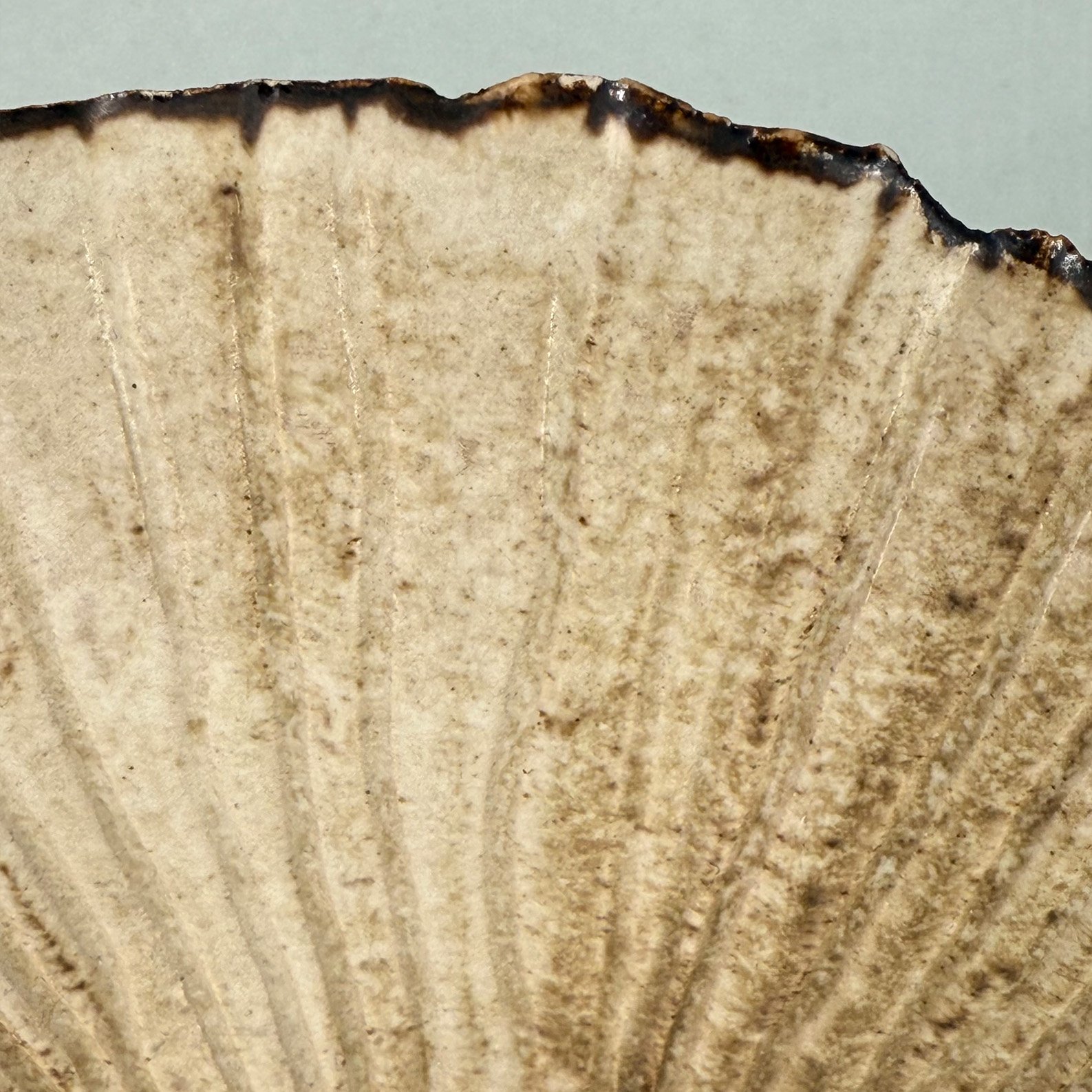 Three pieces of stoneware studio pottery_8.jpg