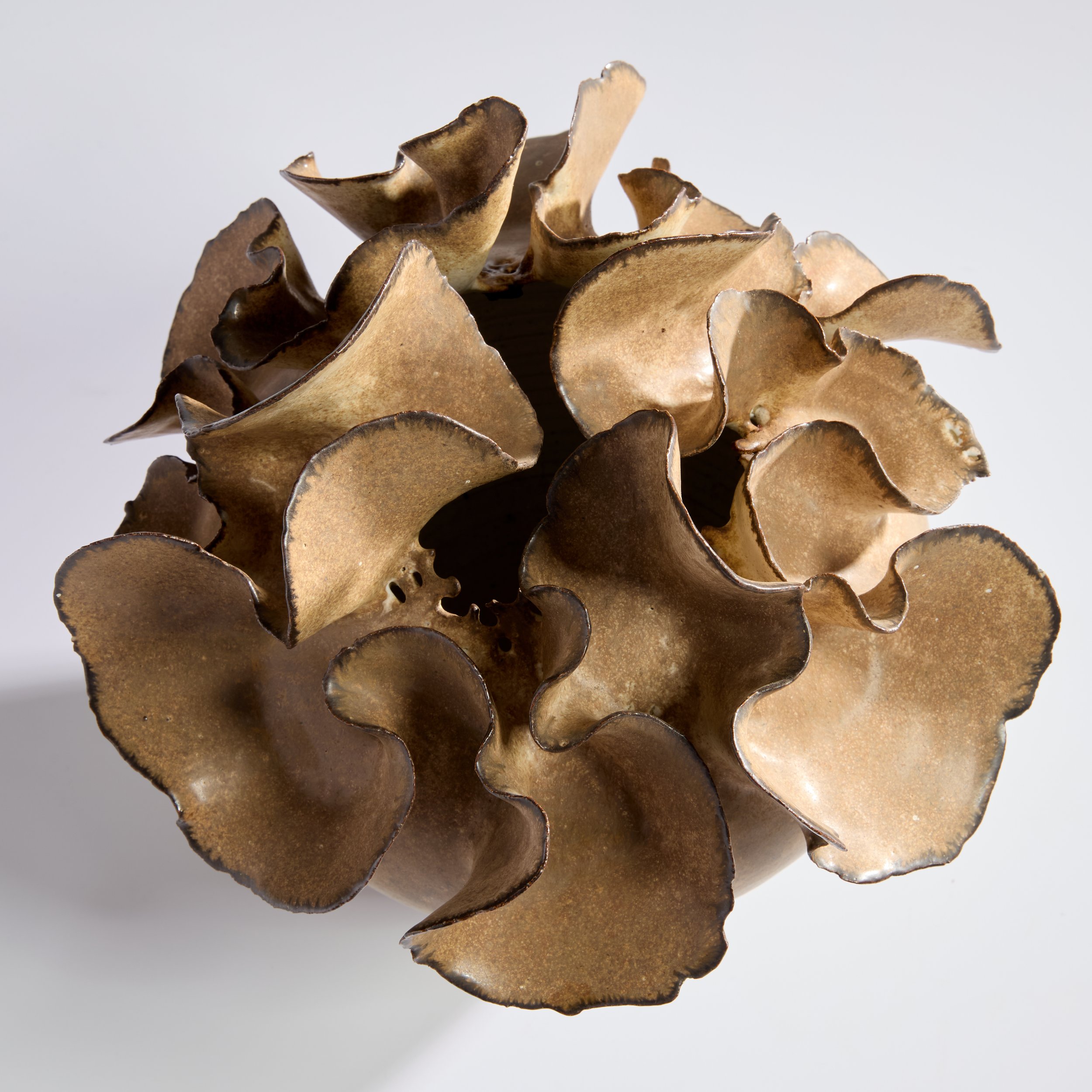 Deirdre Burnett_Large vase with petals_2.jpg