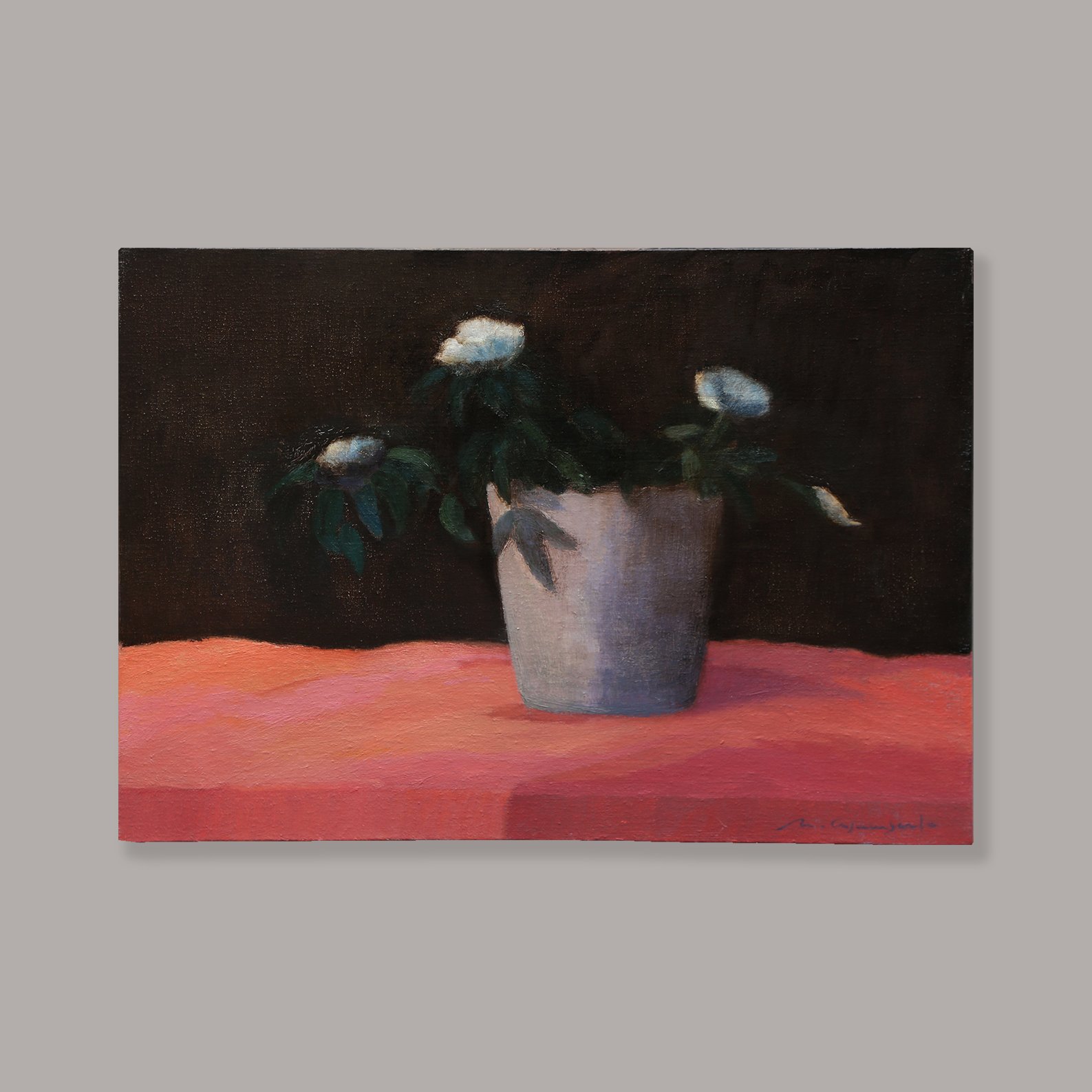 MONTSE CASACUBERTA_Begonia Blanca_1_2.jpg