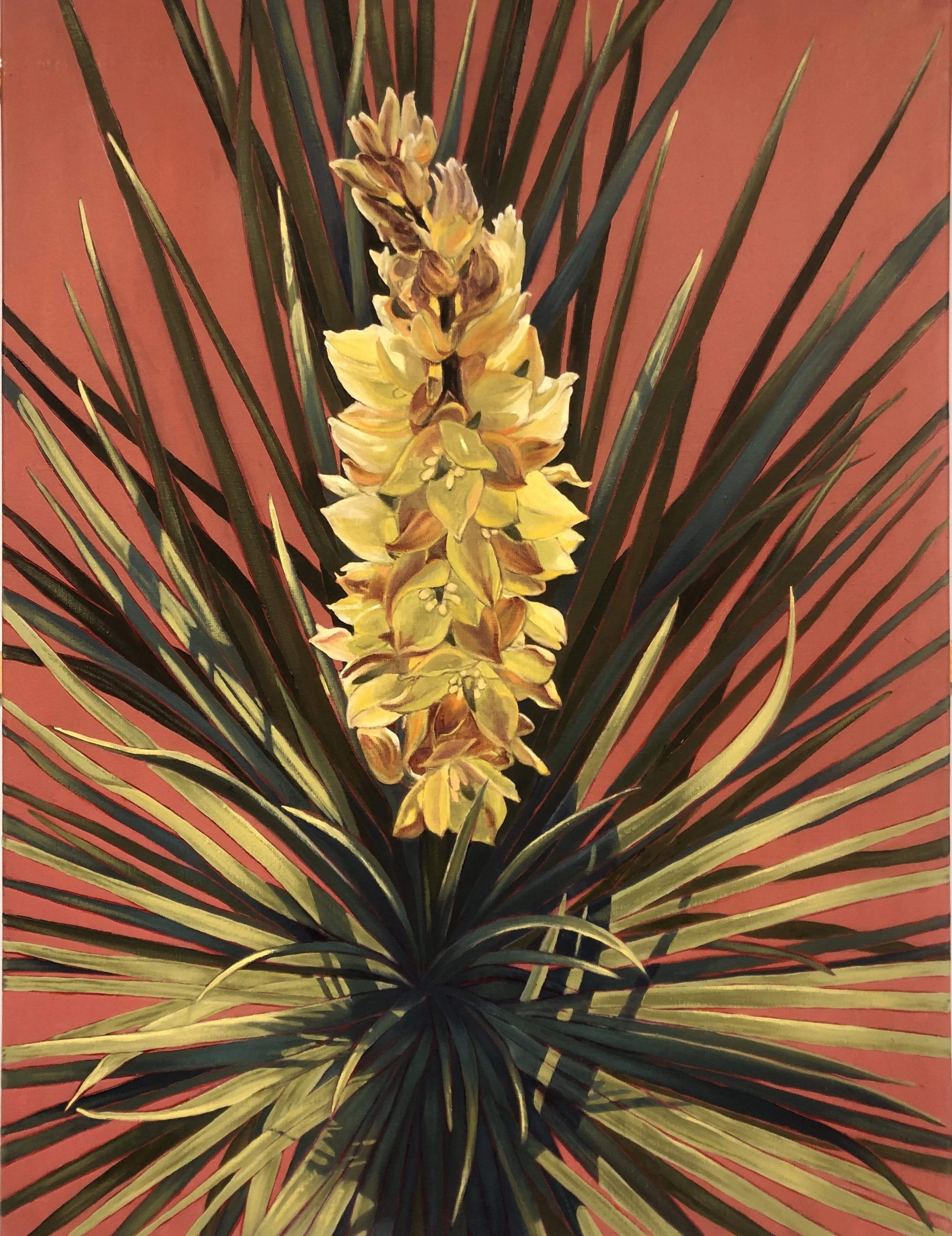 "White Yucca", oil on linen. 40" x 30"