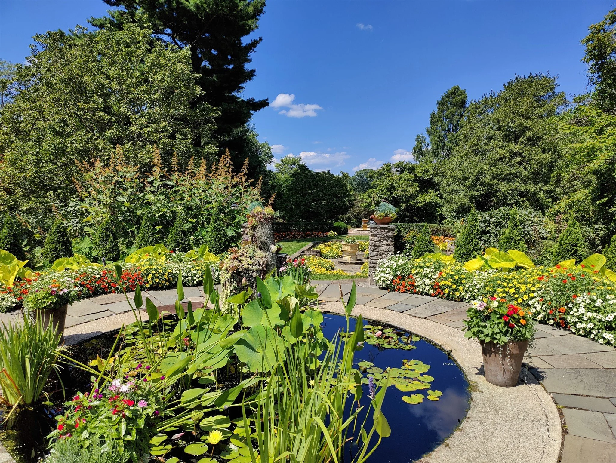 Kingswood Center Gardens 2.jpg