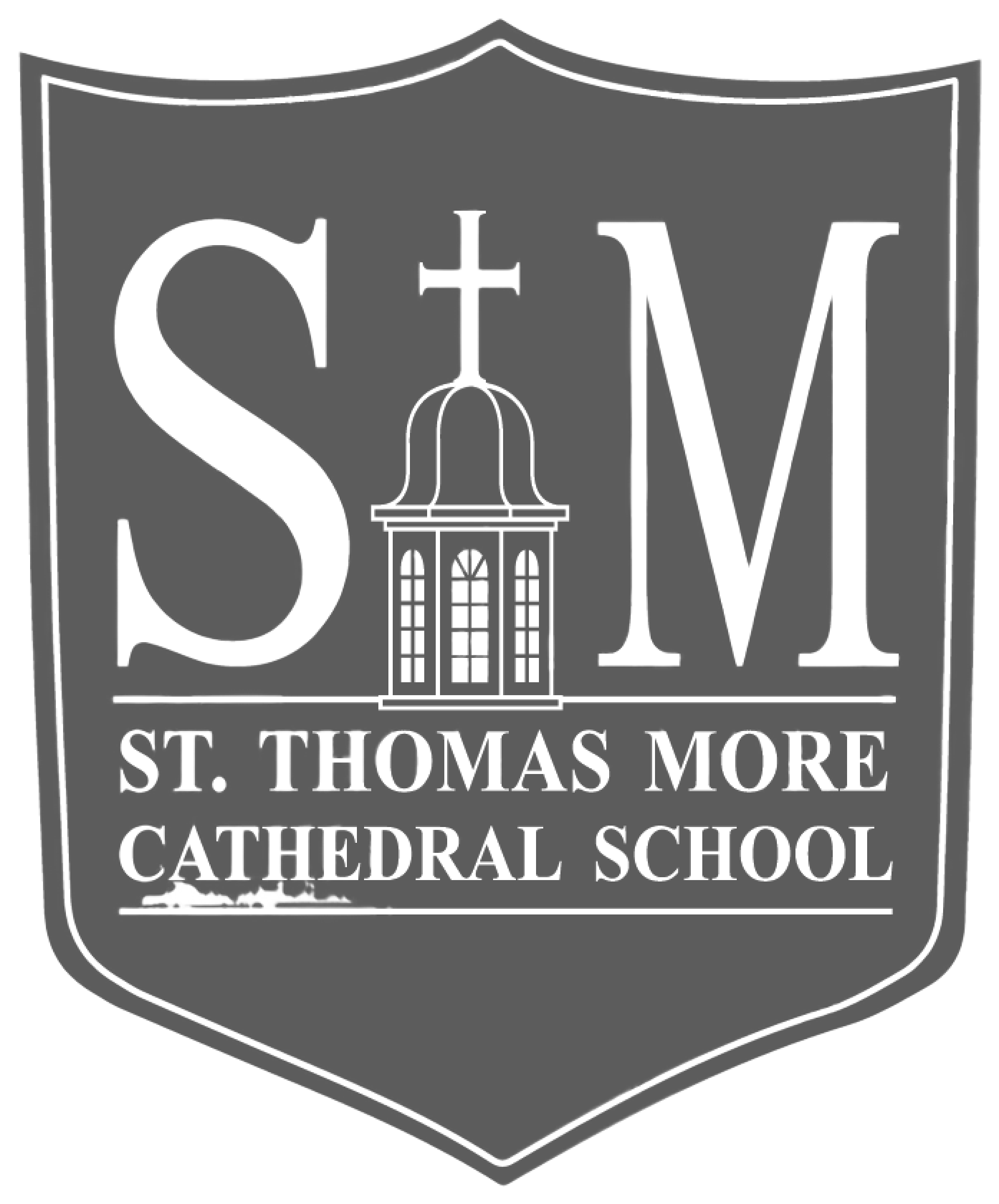 logo stm.png