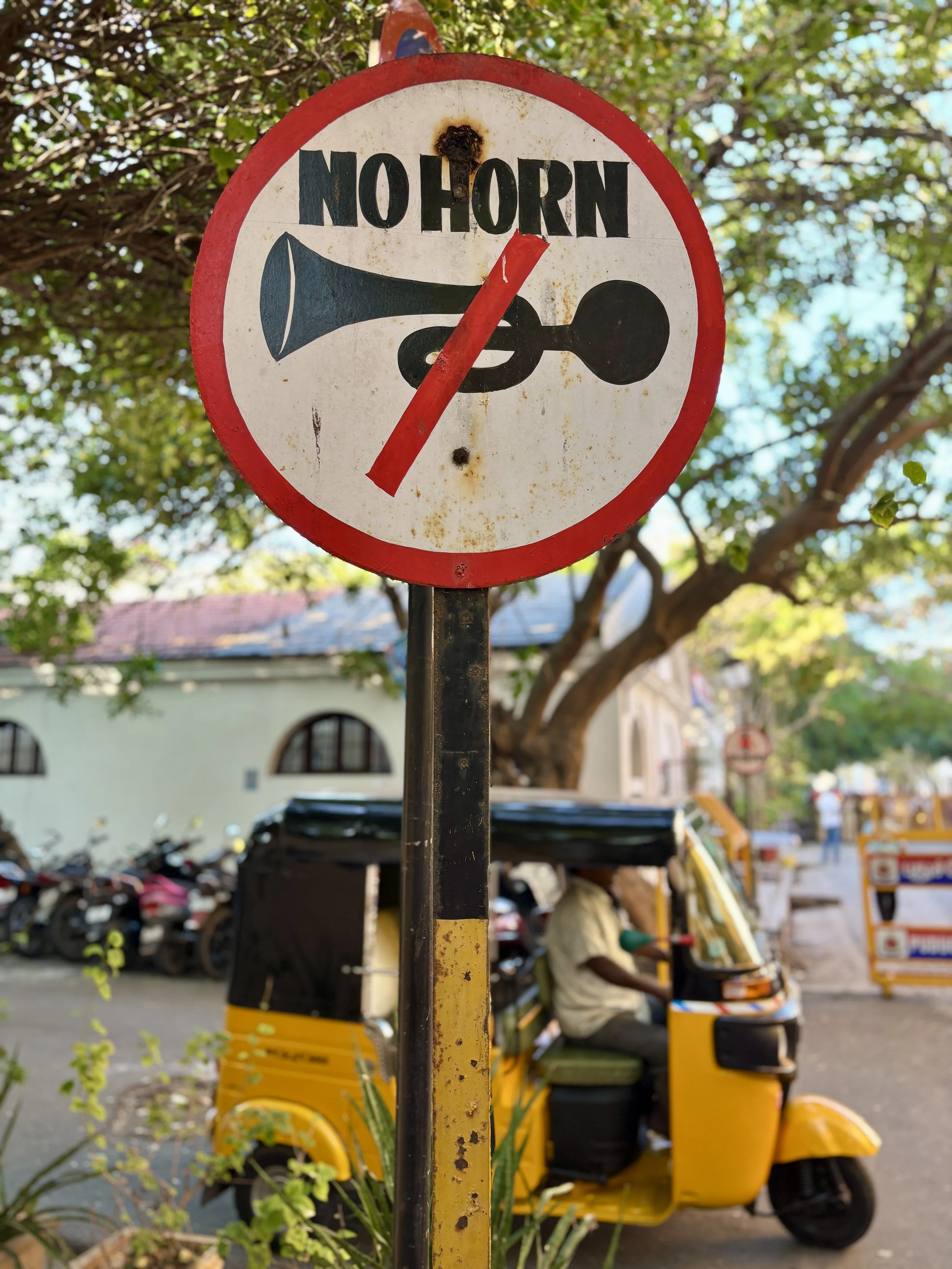 India vocation puzzles Sandra Butel beautywalk coaching Tony Robbins clarity focus