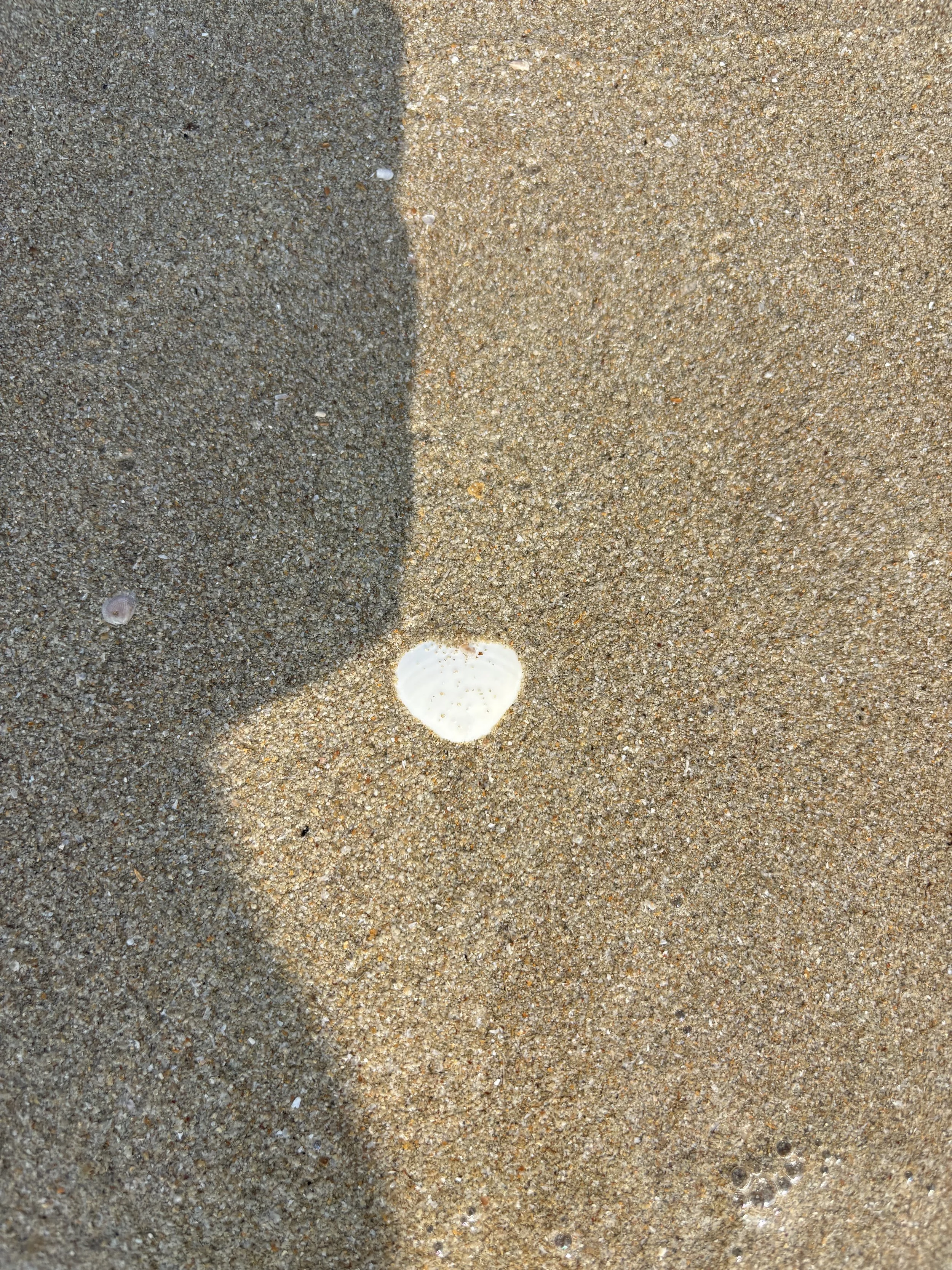 India beautywalk Goa Sandra Butel waves the field coaching consciousness Shrinking positivity mental fitness beach