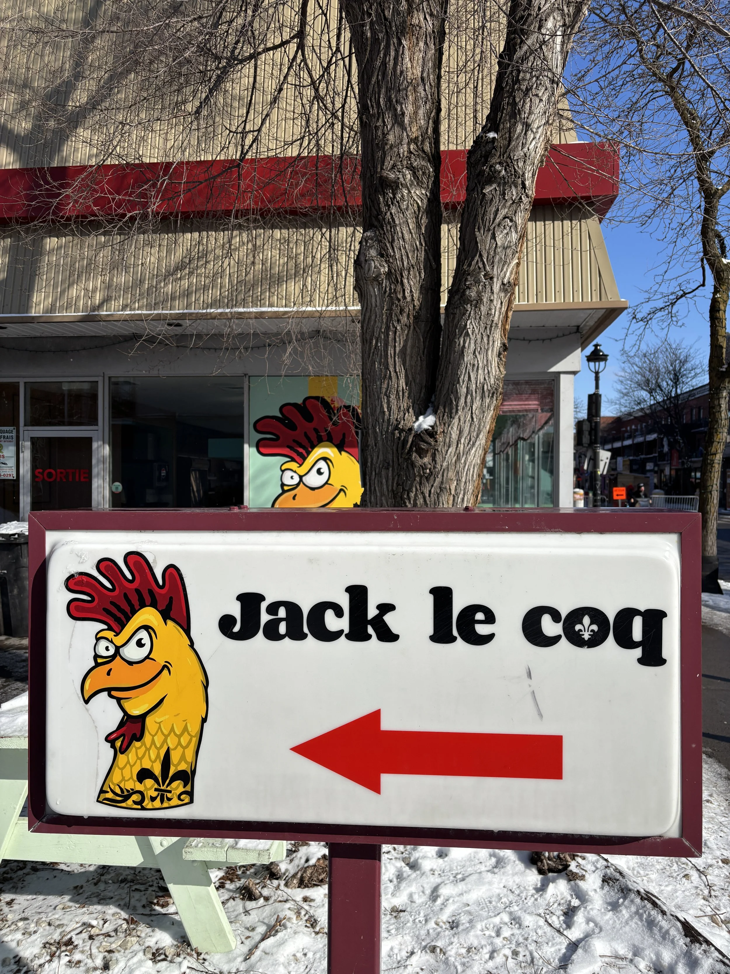 Sandra Butel beautywalk coaching St. Marys hip replacement surgery transformation love grief yoga Fiji McAlpine