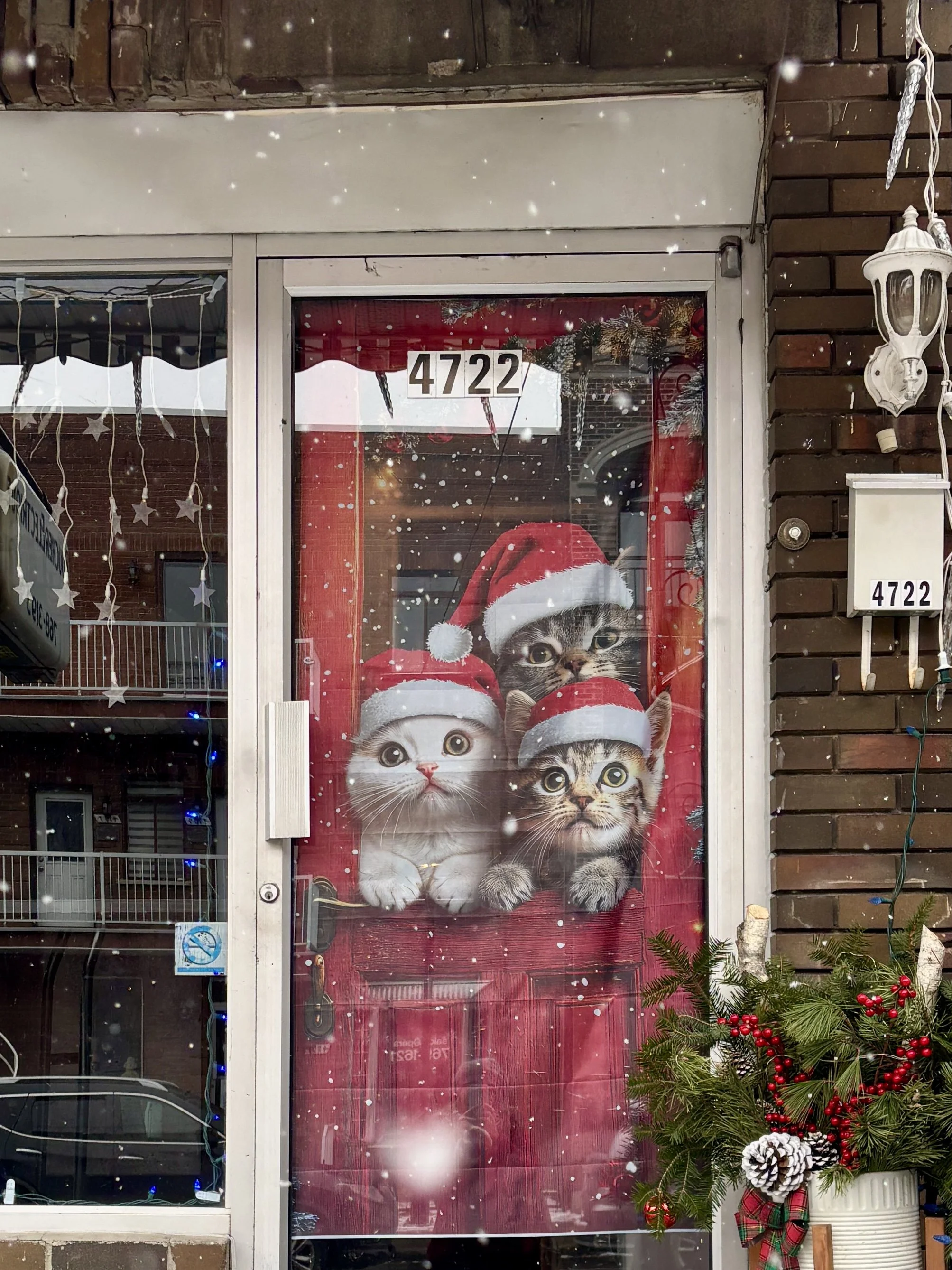 grace beautywalk Sandra Butel Christmas love holiday traditions carols Verdun Wellington gospel