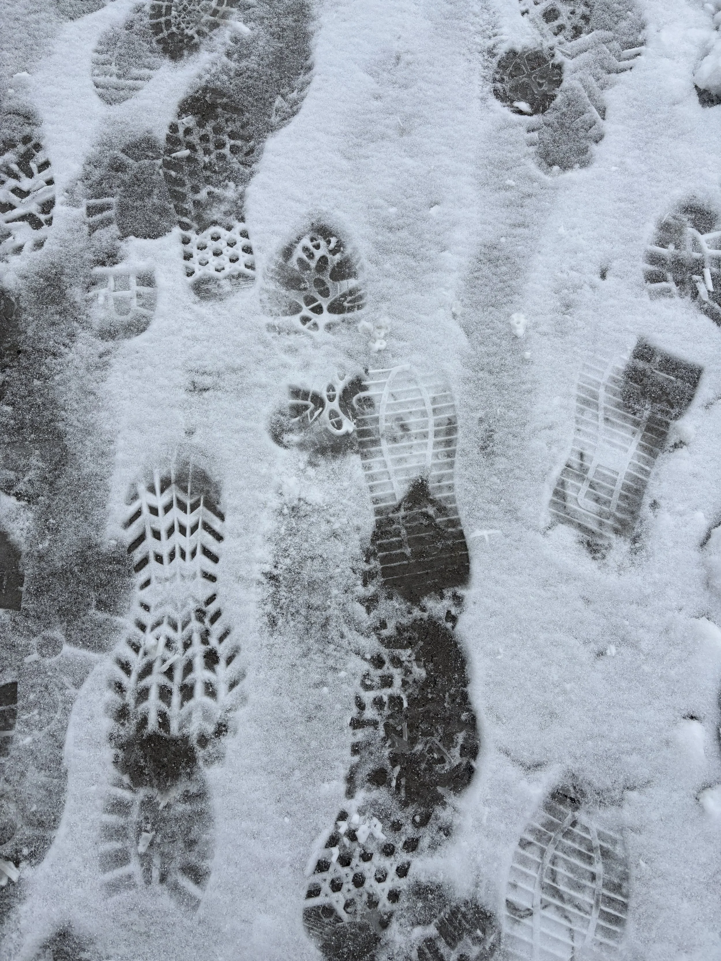 Sandra Butel beautywalk coaching St. Marys hip replacement surgery transformation love grief yoga Fiji McAlpine