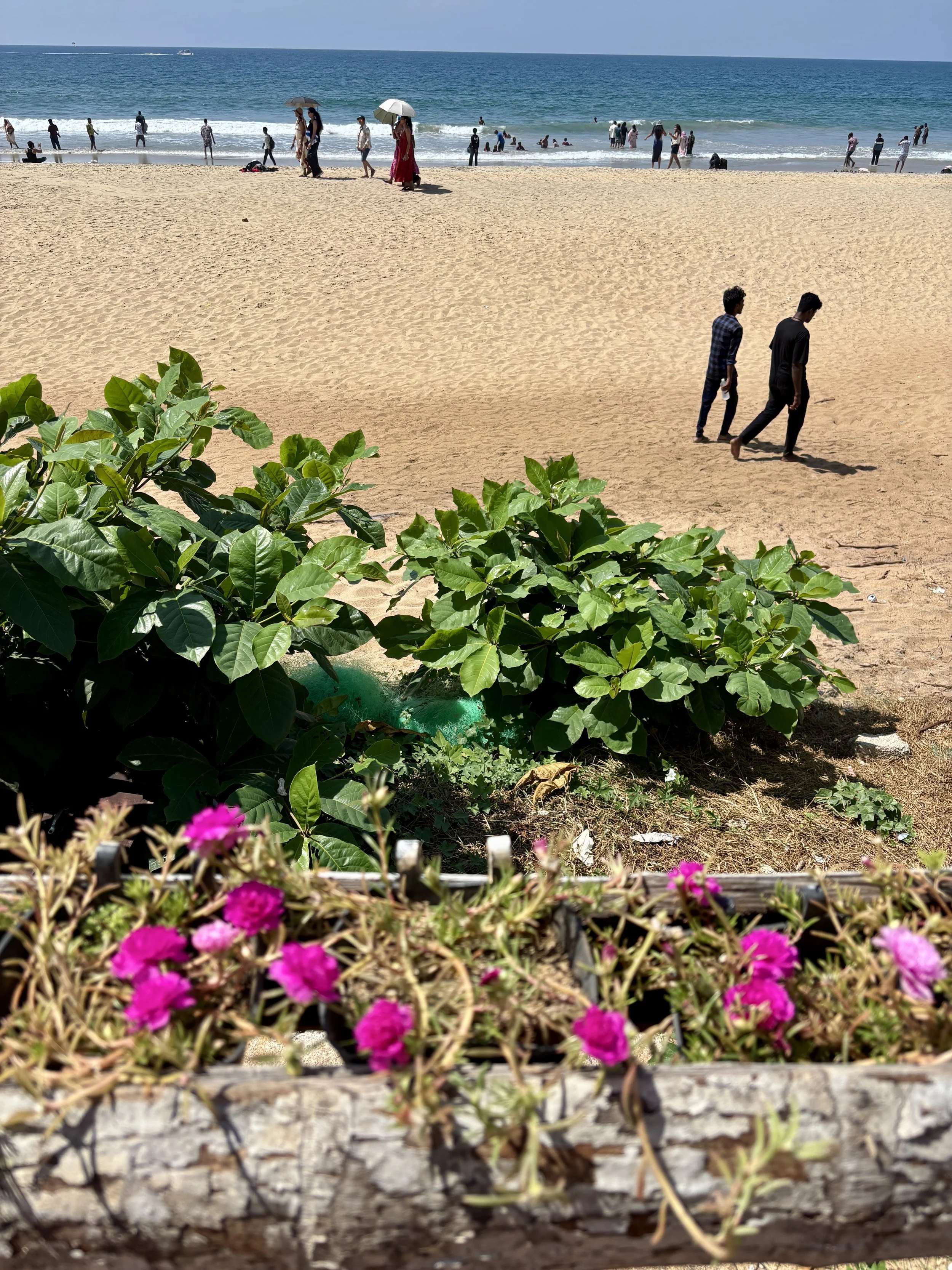 India vocation puzzles Sandra Butel beautywalk coaching Tony Robbins clarity focus