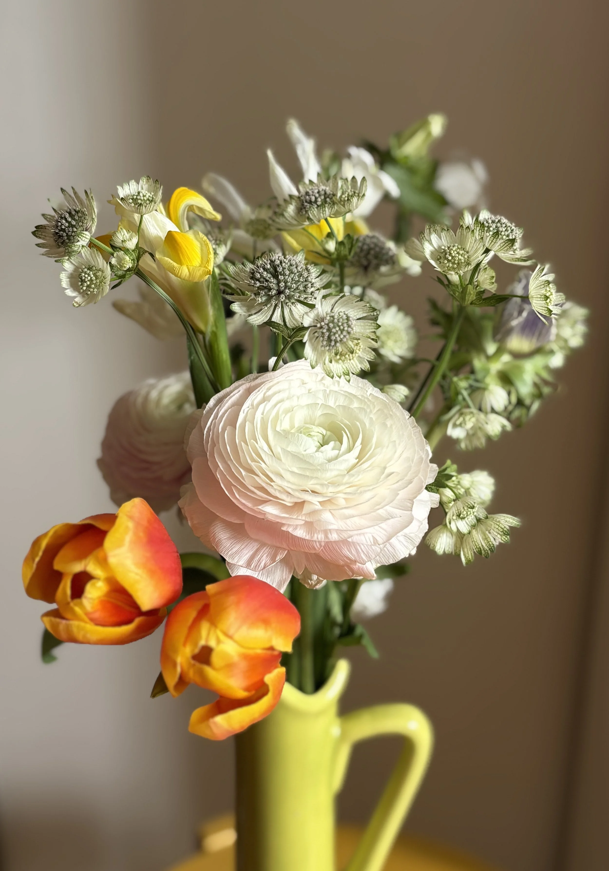 hip replacement surgery hyperthyroidism Sandra Butel beautywalk coaching tips love self-care yoga Liv Yoga Lama Tasha Jeff Warren mental health