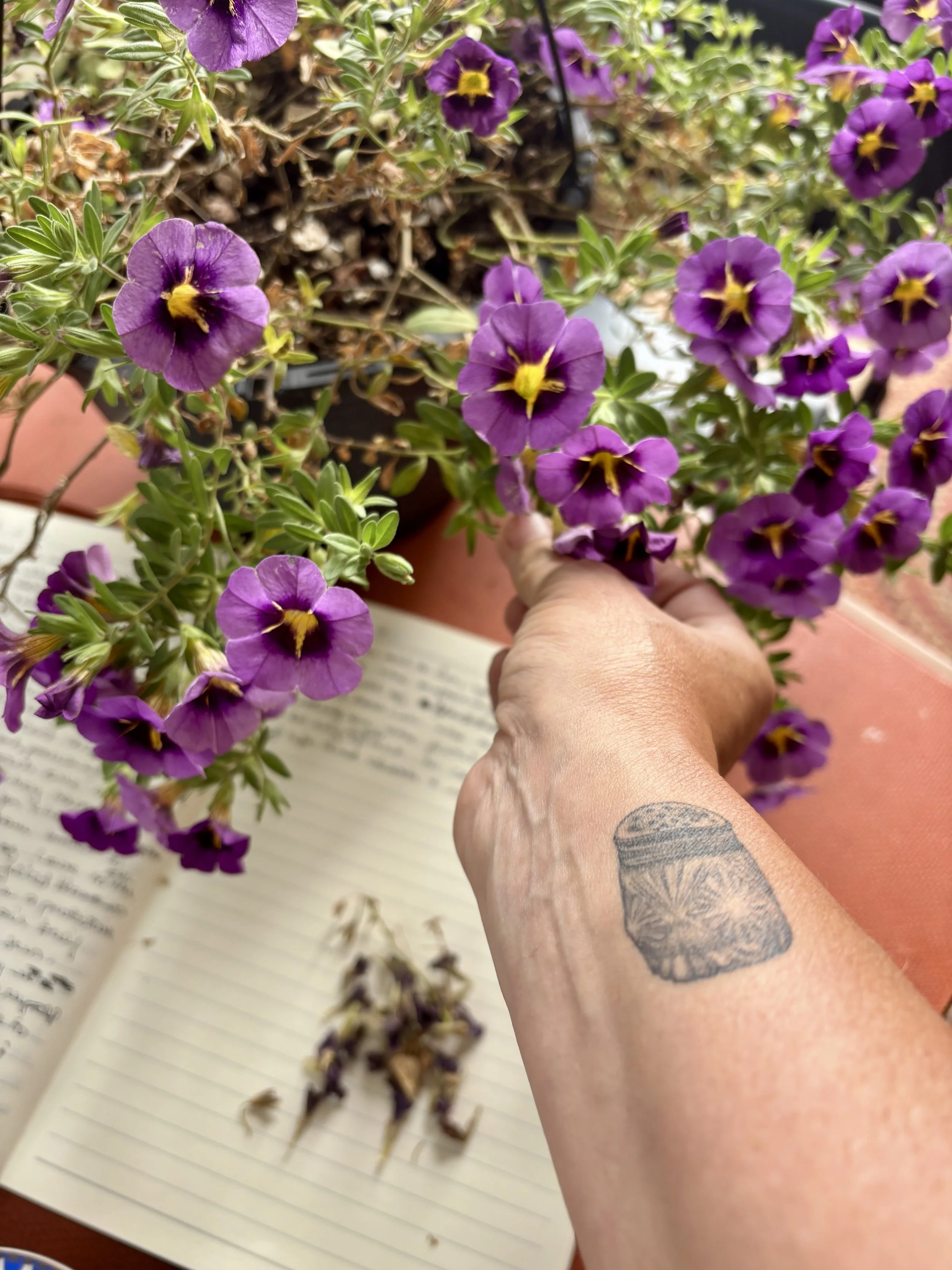 Sandra Butel beautywalk coaching midlife love pruning deadhead internal family systems Gangster Gardening healing letting go pruning sacred