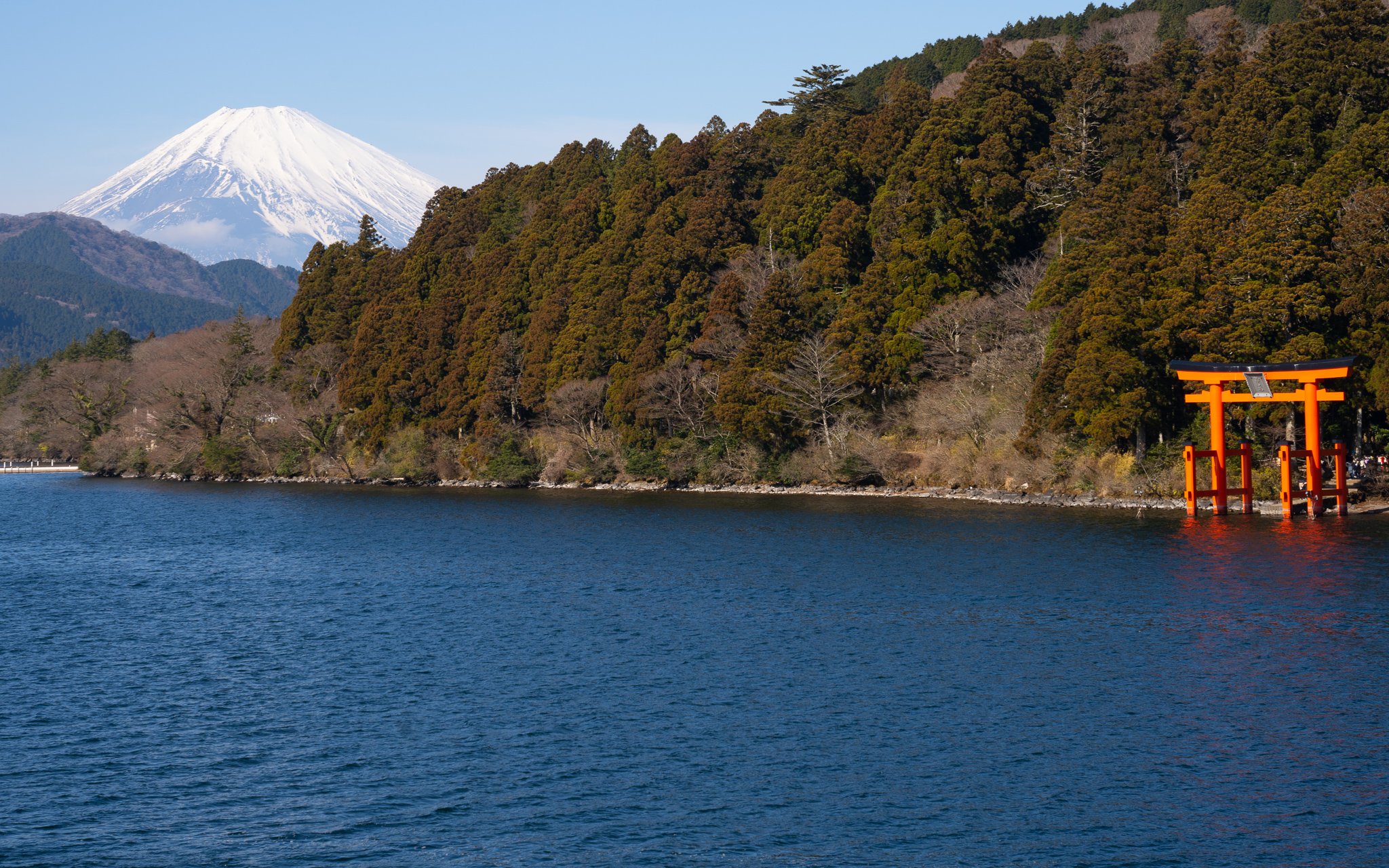 DSC01755.jpg