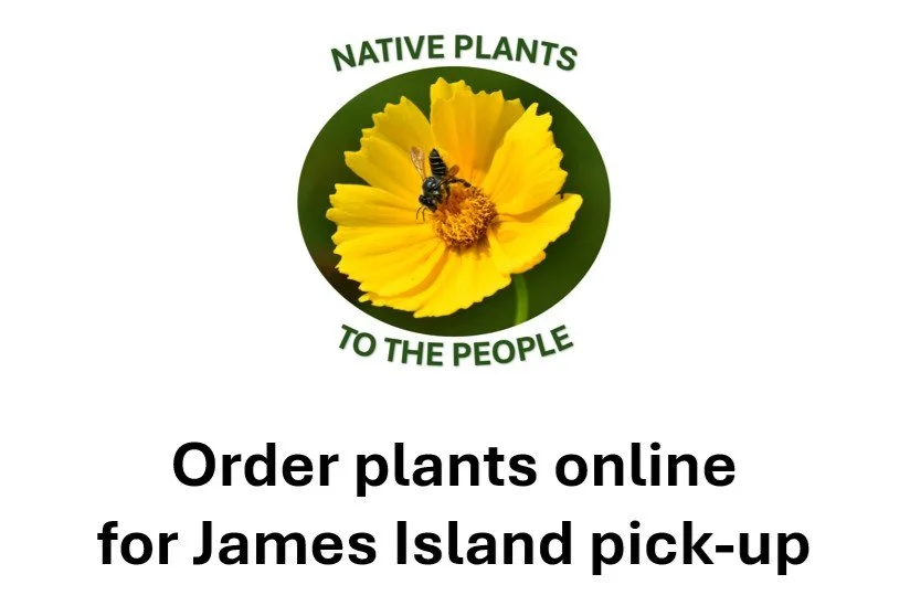 Native plant pre-orders for pick-up