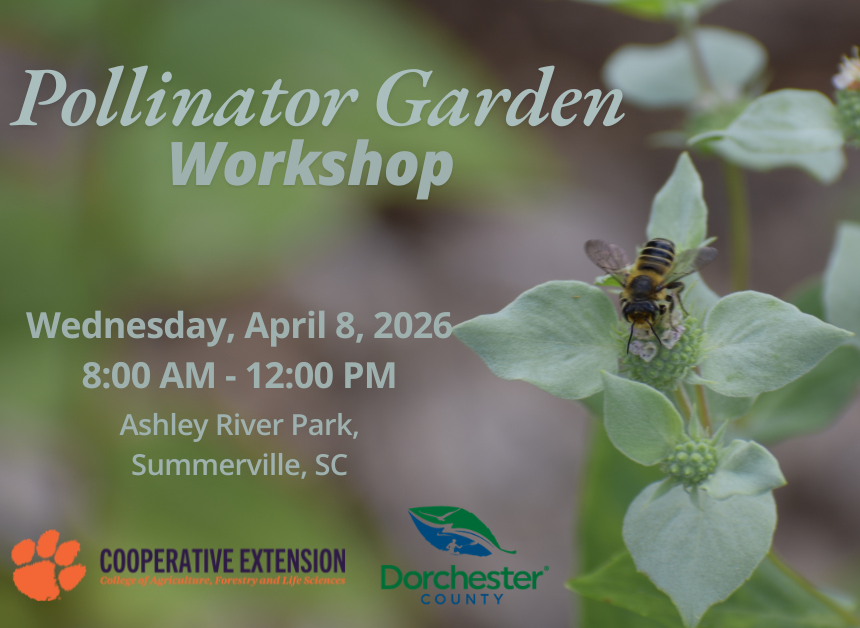 Pollinator Garden Workshop