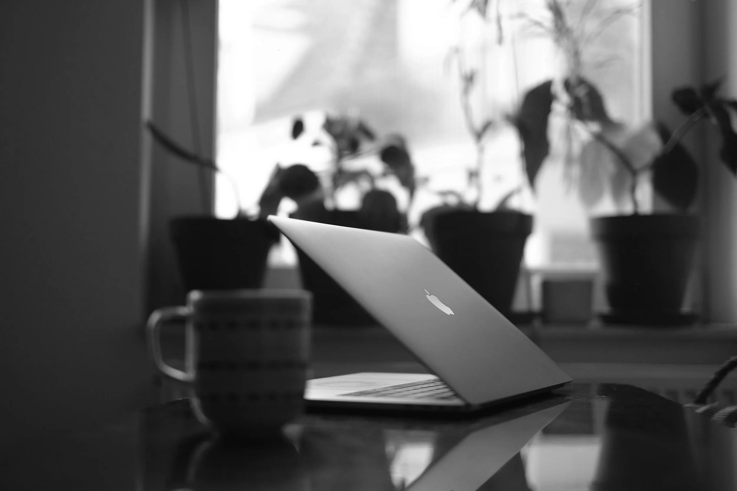 HOW MUCH DOES A WEBSITE COST?