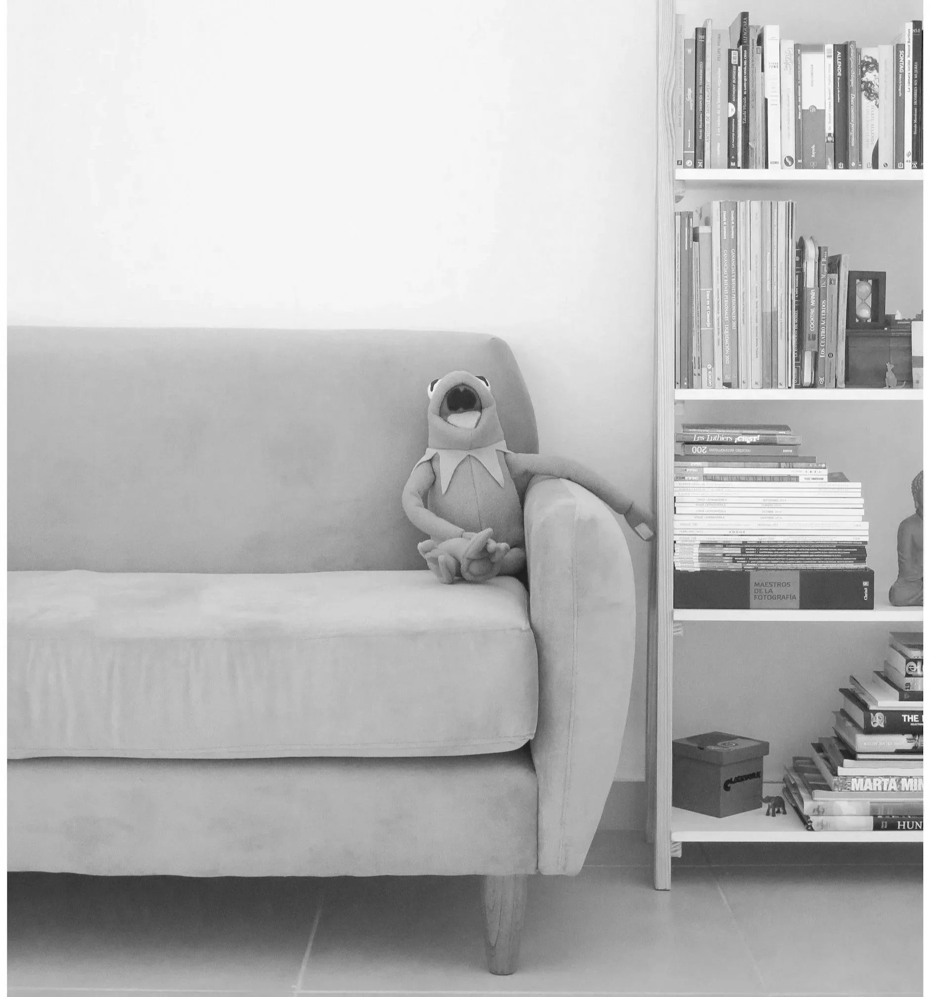 Client testimonials. Frog animal with an open mouth, sitting on a beige sofa next to a white bookshelf filled with books and other items.